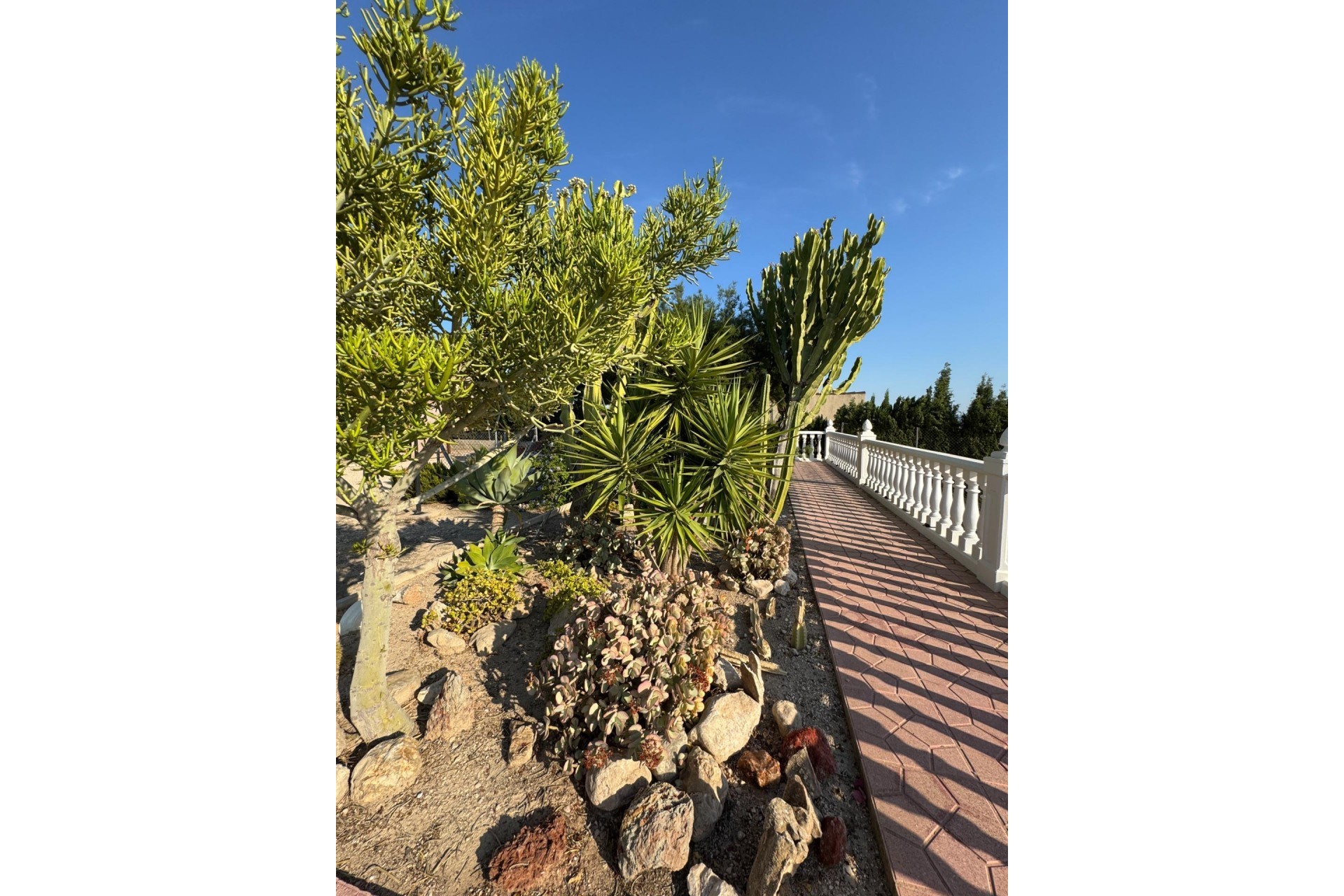 Resale - Villa -
Albatera - Partida Lomas
