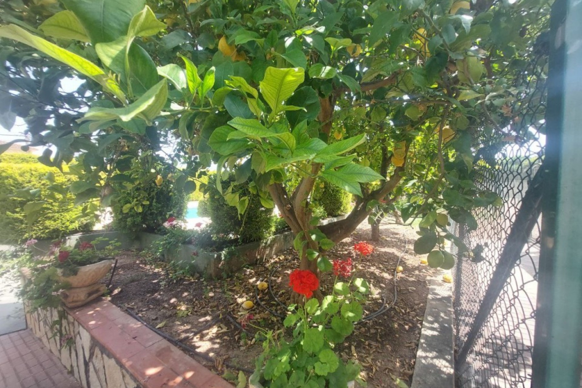 Resale - Villa -
Albir - Costa Blanca