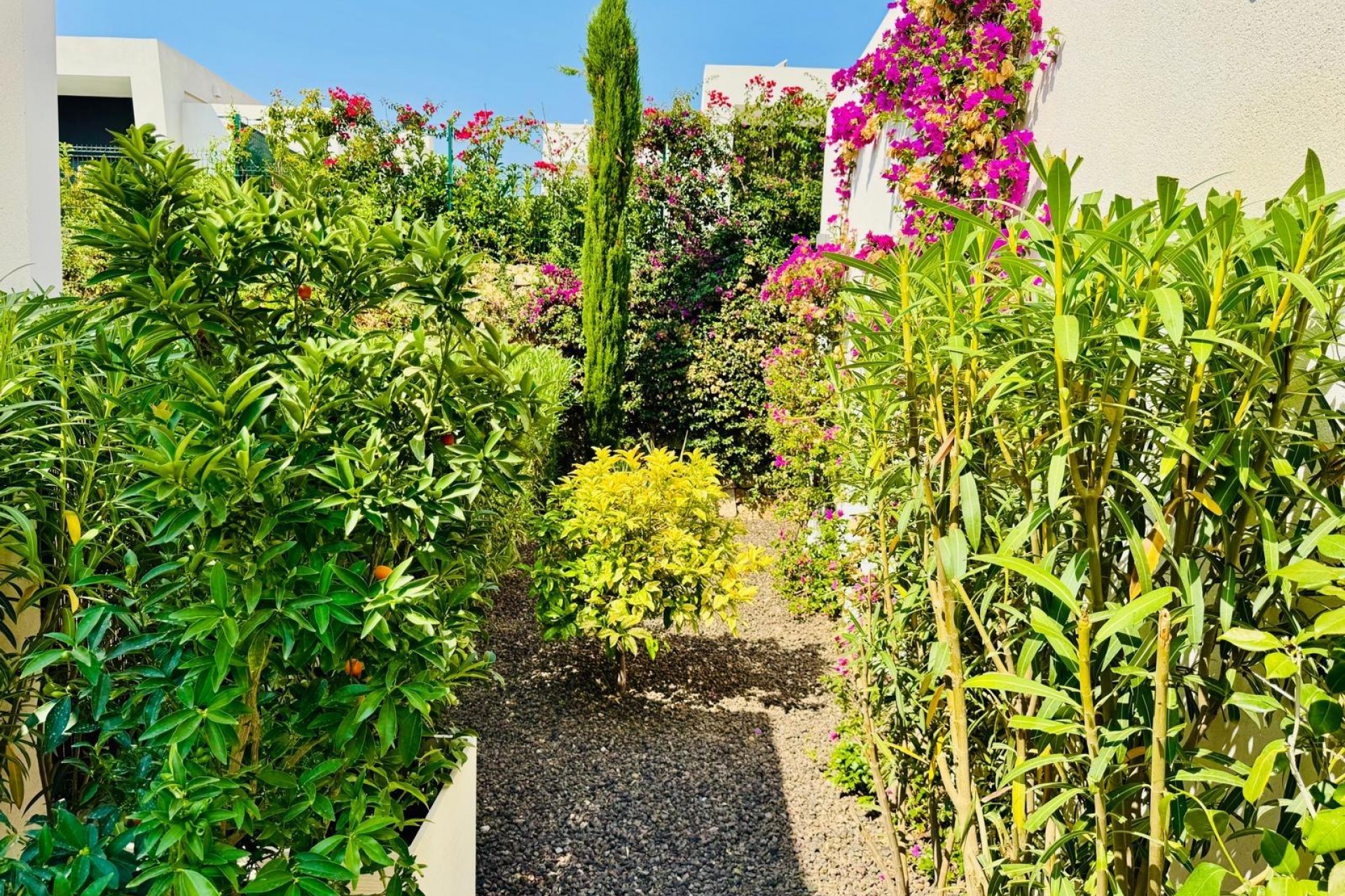 Resale - Villa -
Algorfa - Club De Golf La Finca