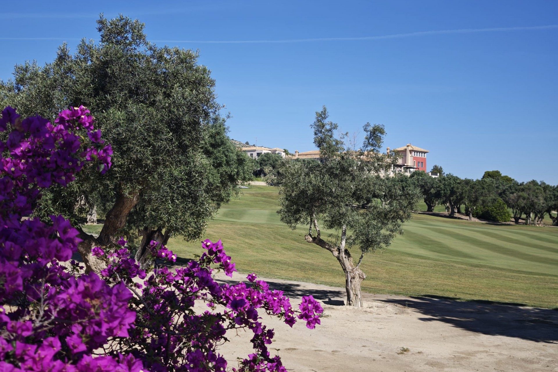 Resale - Villa -
Algorfa - Inland