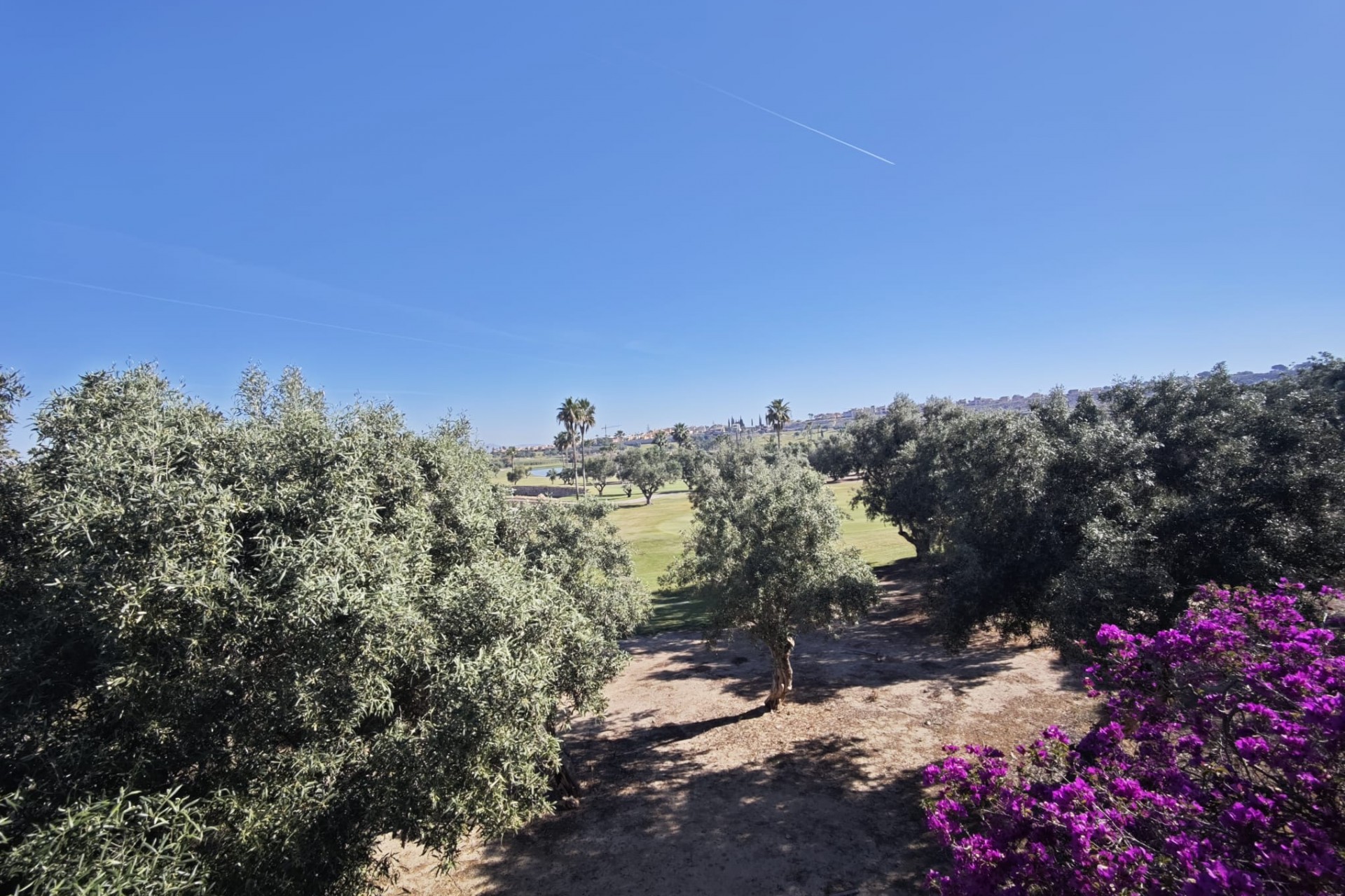 Resale - Villa -
Algorfa - Inland
