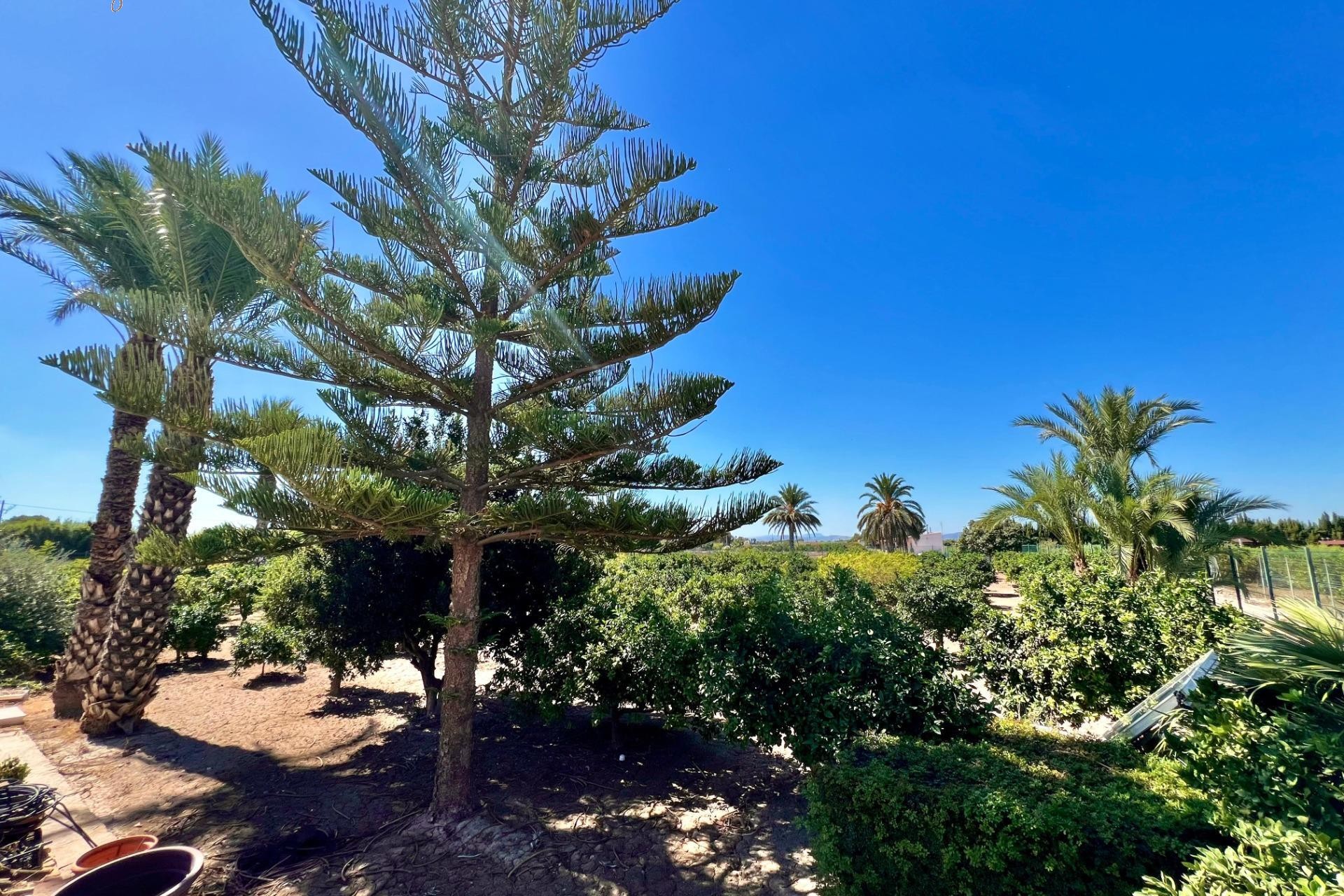 Resale - Villa -
Almoradí - Comunidad Valenciana