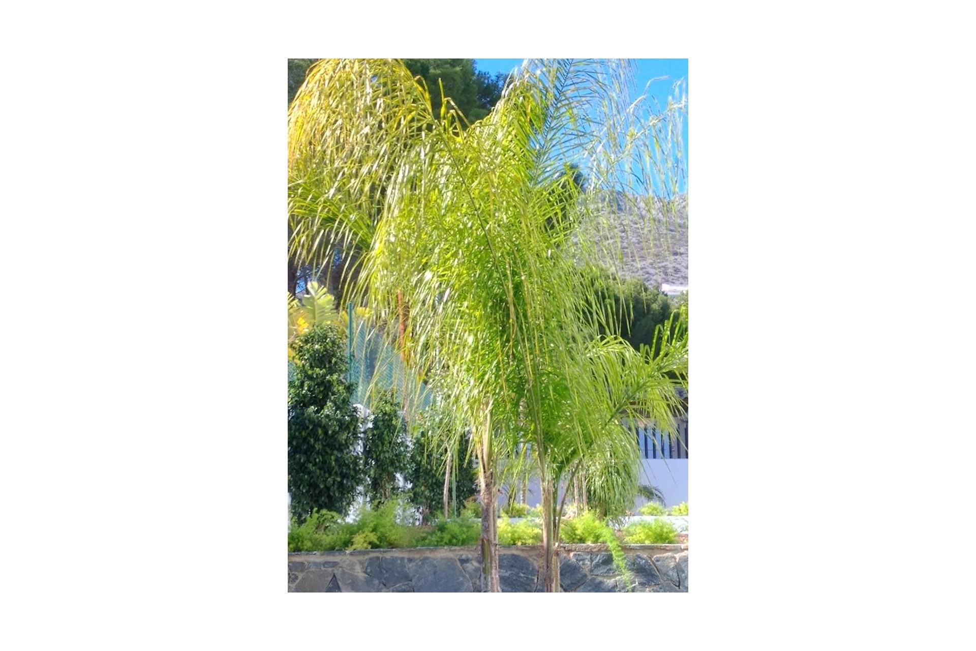 Resale - Villa -
Altea - Costa Blanca