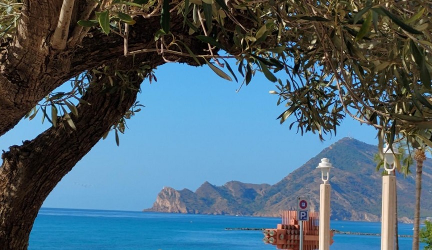 Resale - Villa -
Altea - Costa Blanca