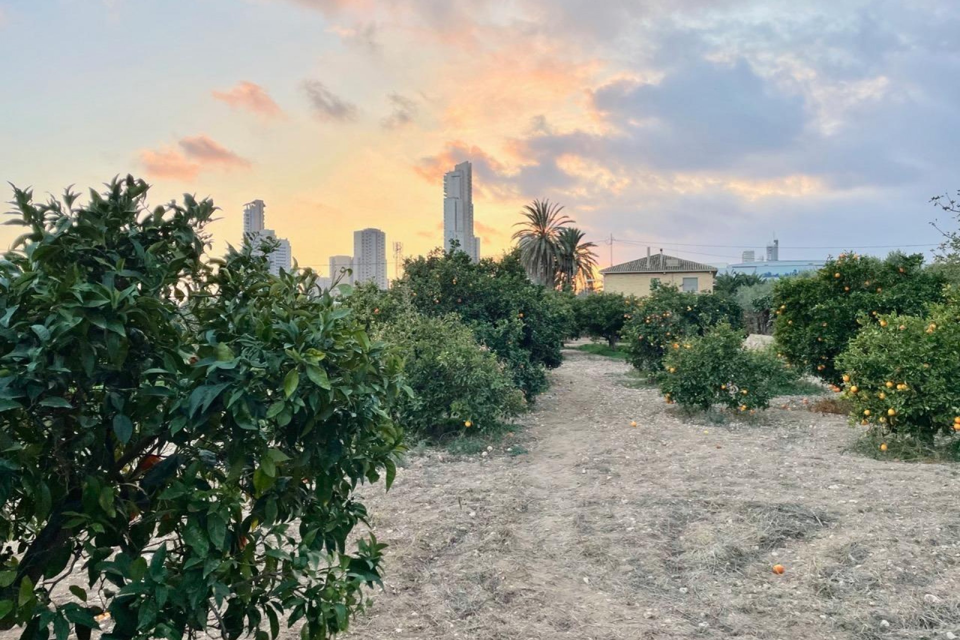 Resale - Villa -
Benidorm - Salto Del Agua