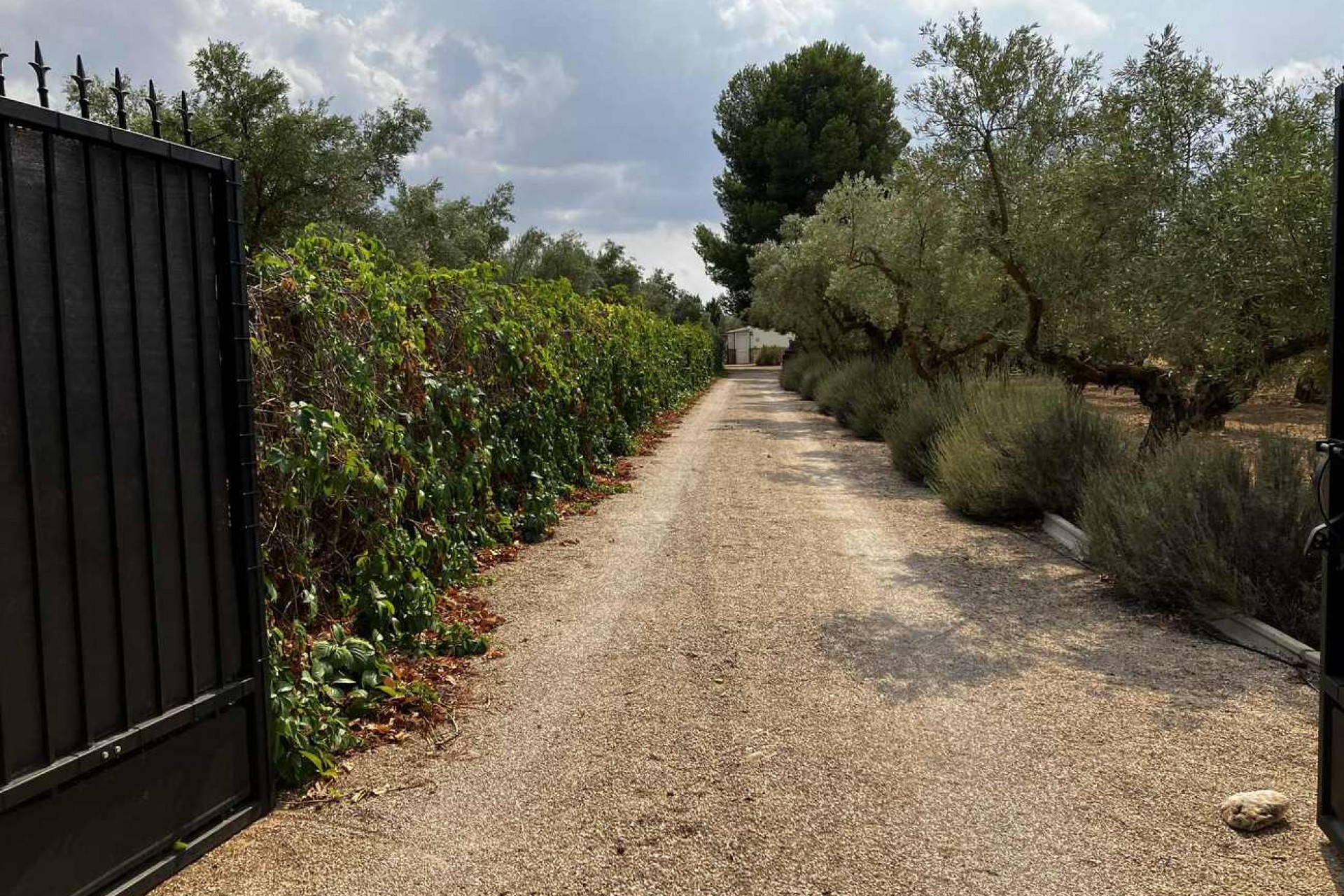 Resale - Villa -
Biar - Costa Blanca