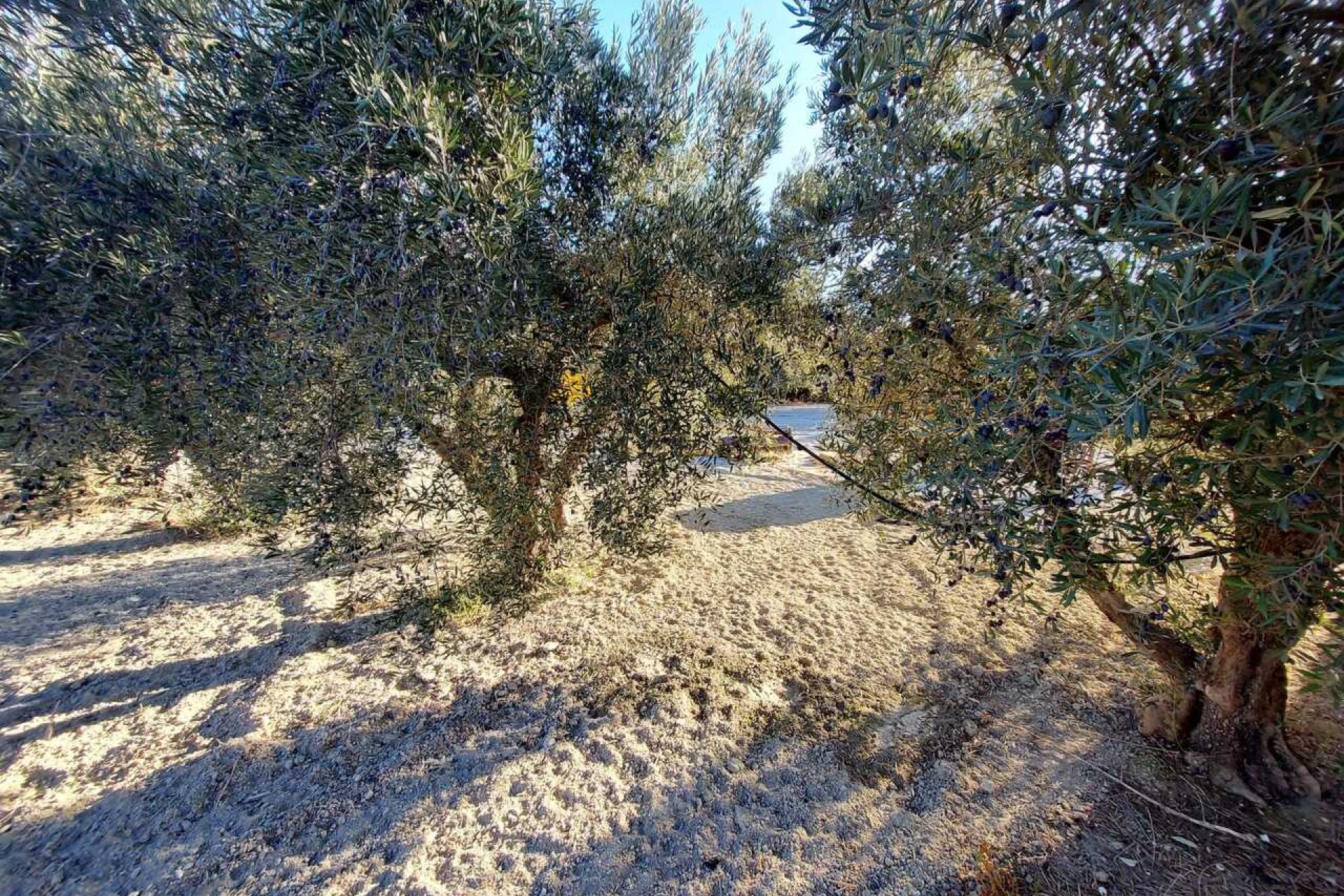 Resale - Villa -
Calasparra - Inland