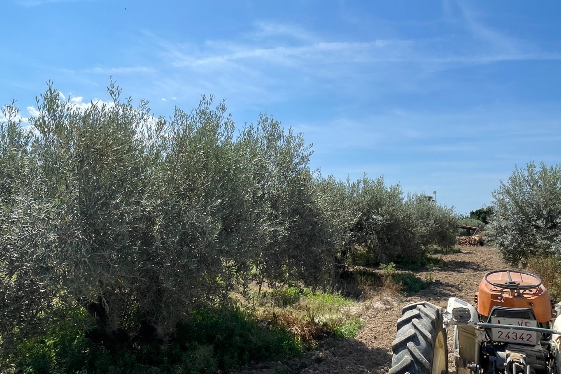 Resale - Villa -
Crevillent - Inland