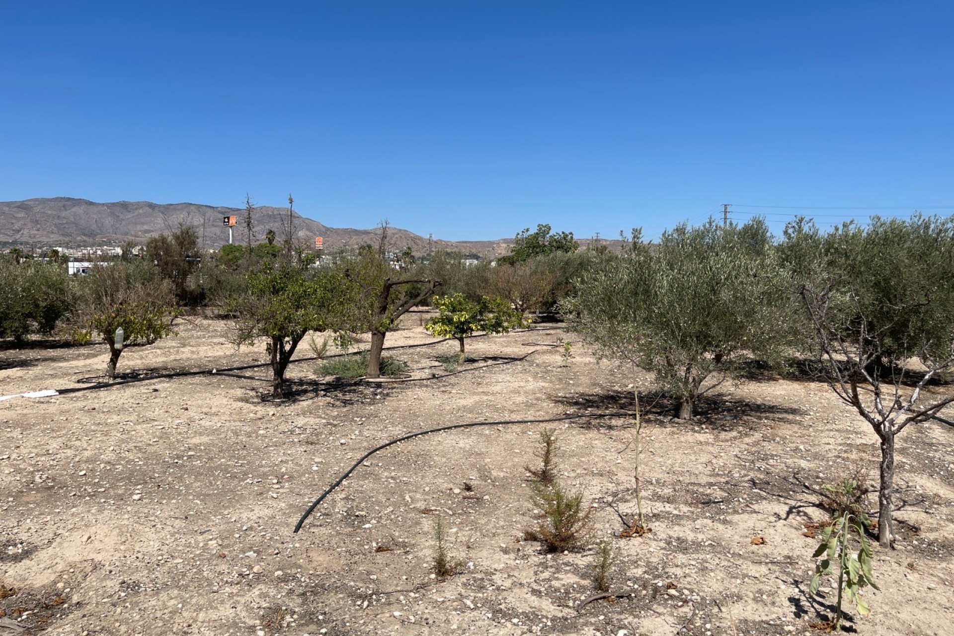 Resale - Villa -
Crevillent - Inland