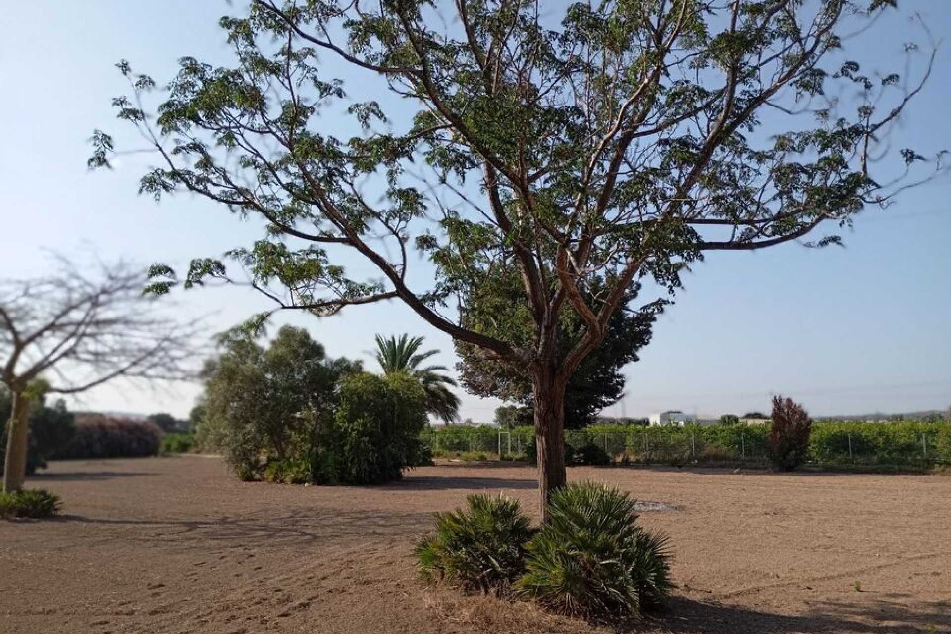 Resale - Villa -
Daya Nueva - Costa Blanca