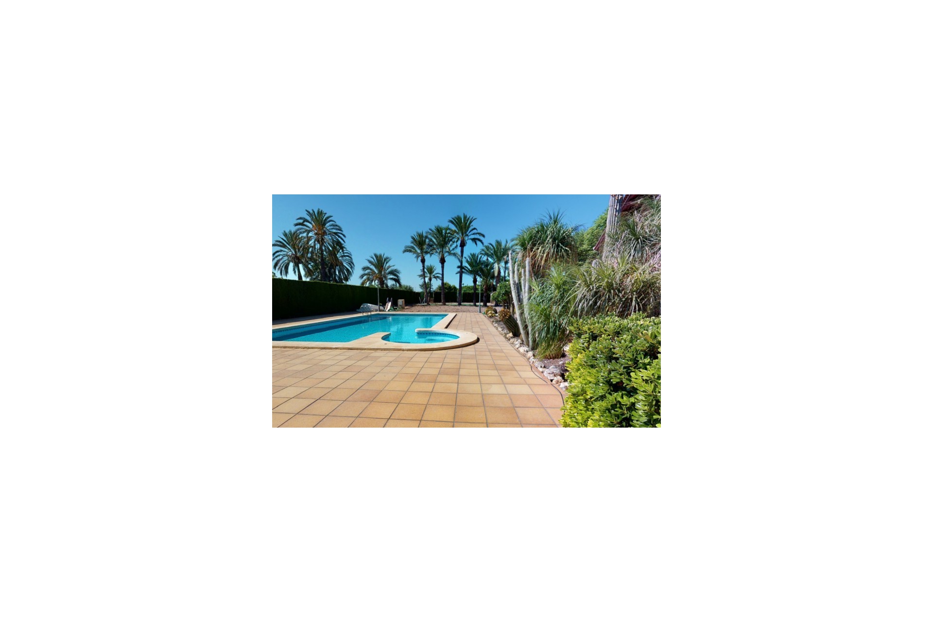 Resale - Villa -
Elche - Costa Blanca