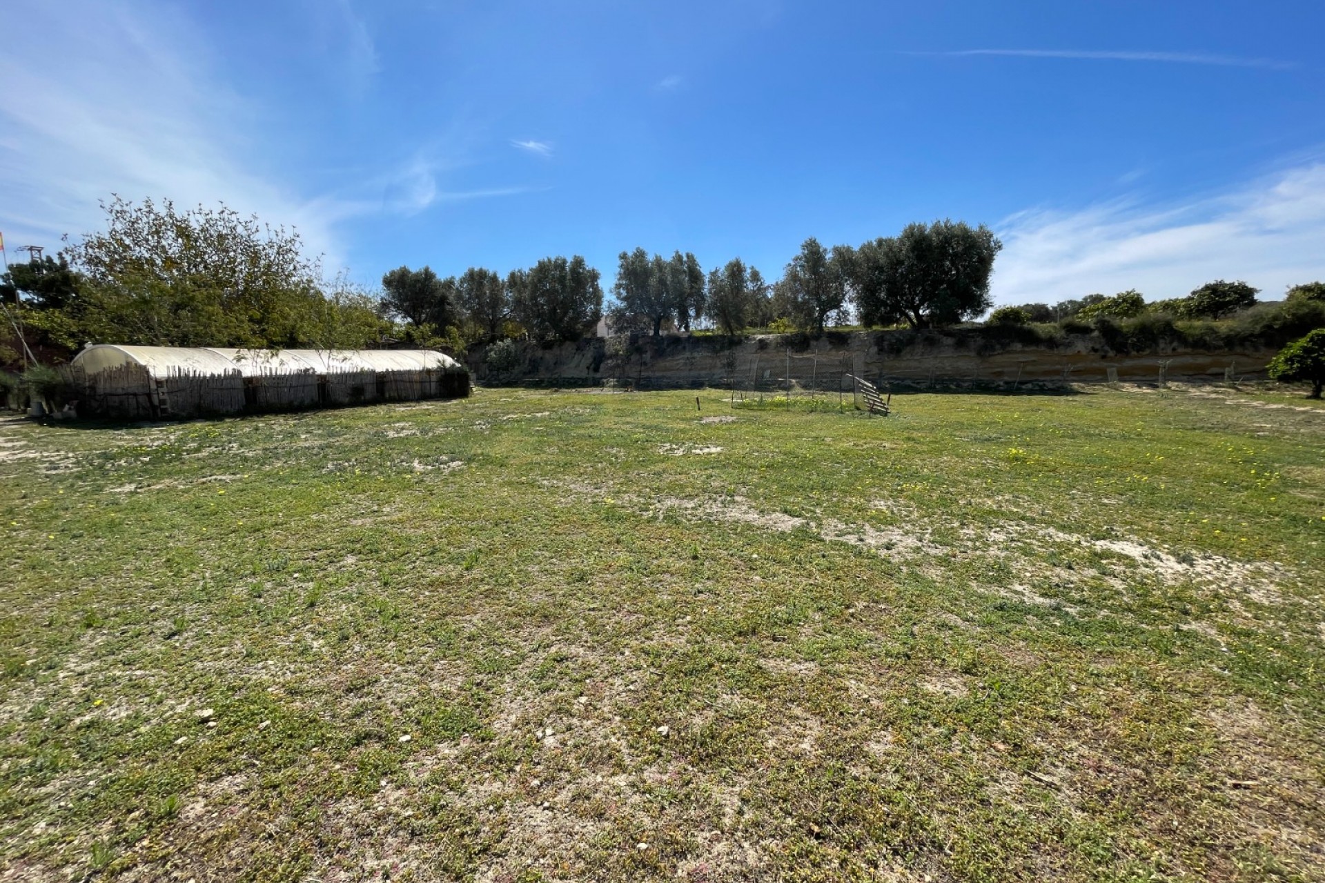 Resale - Villa -
Guardamar del Segura - Costa Blanca