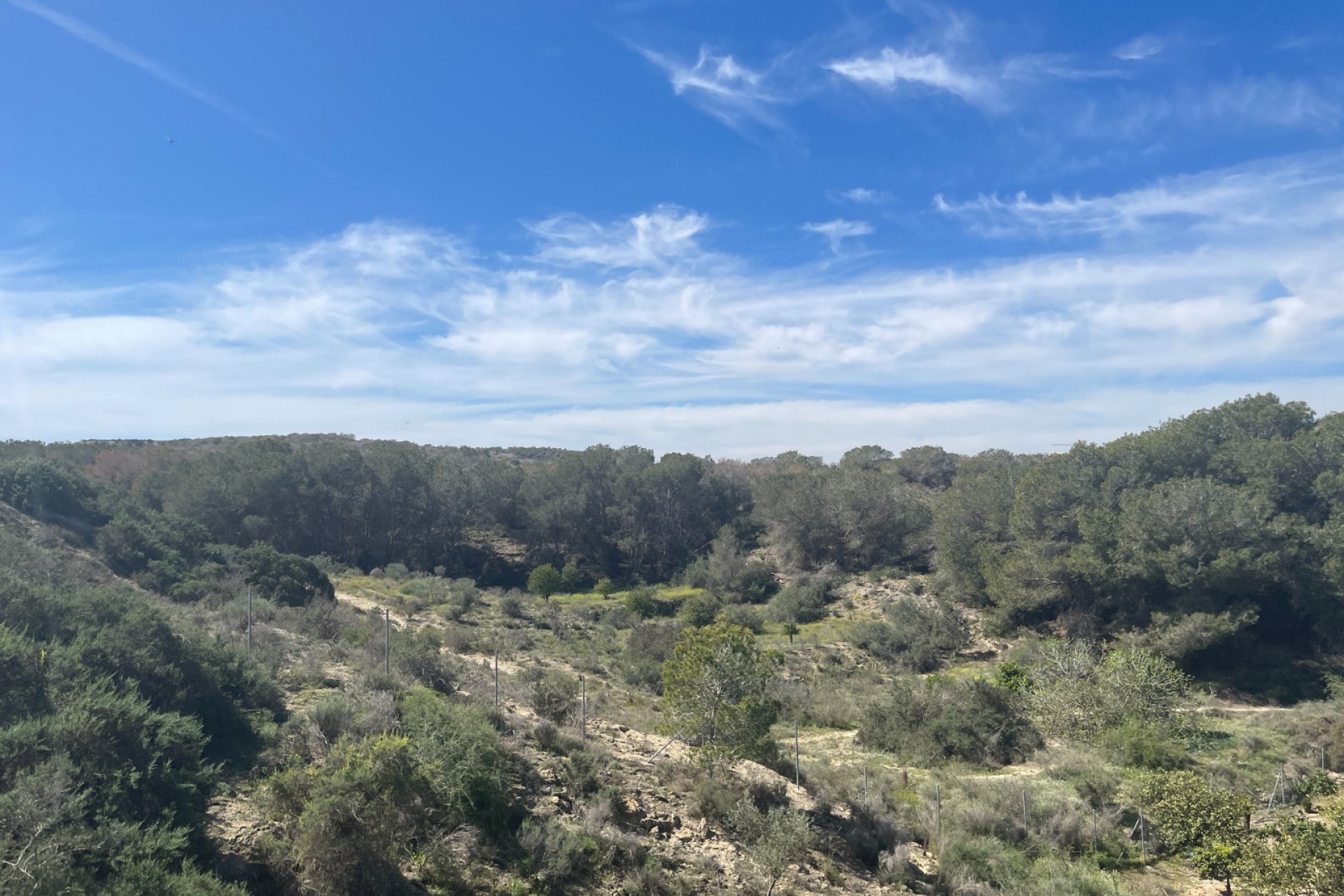 Resale - Villa -
Guardamar del Segura - Costa Blanca