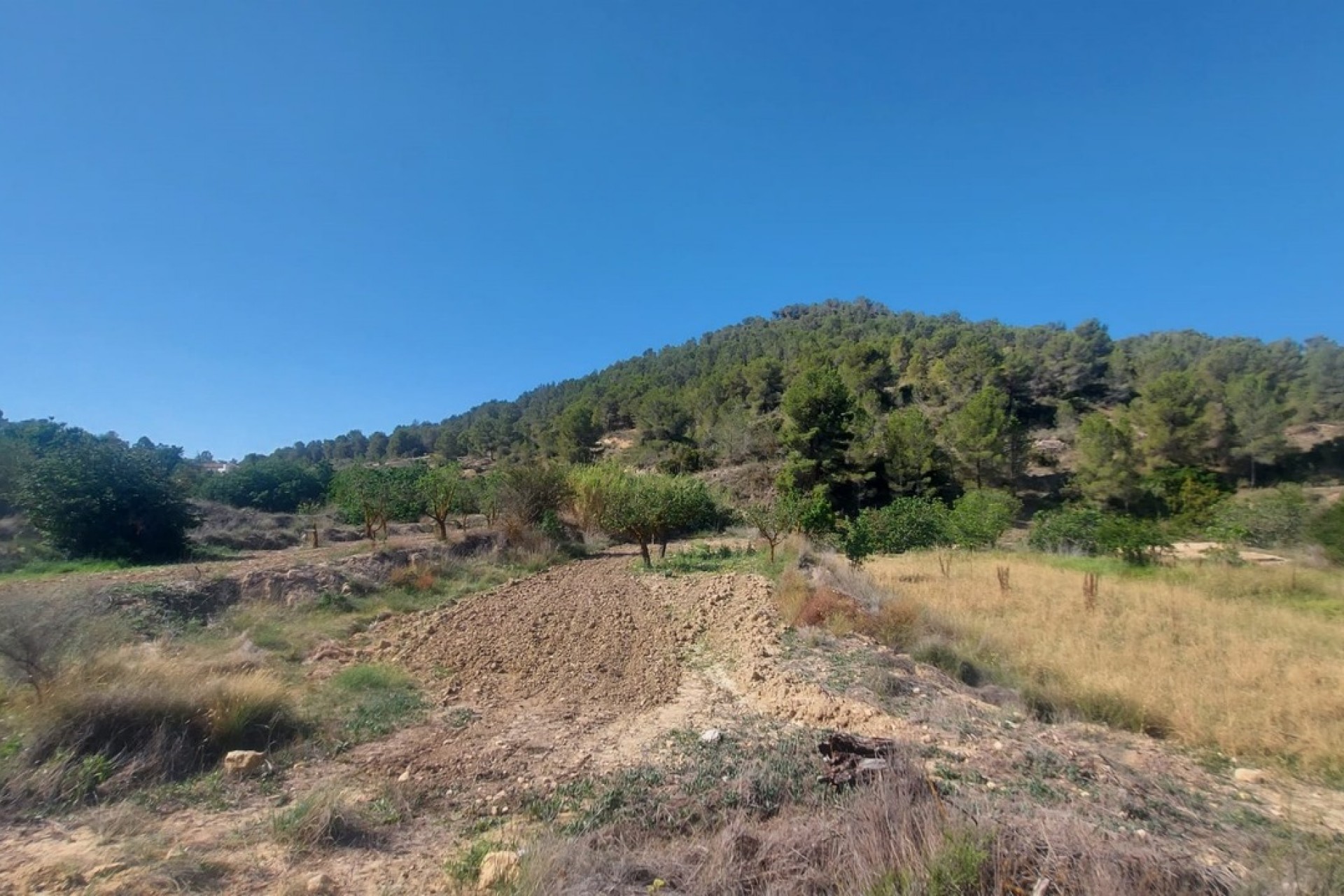 Resale - Villa -
Jumilla - Inland