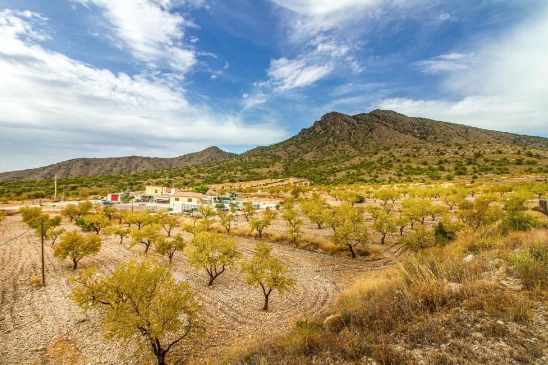 Resale - Villa -
Jumilla - Inland