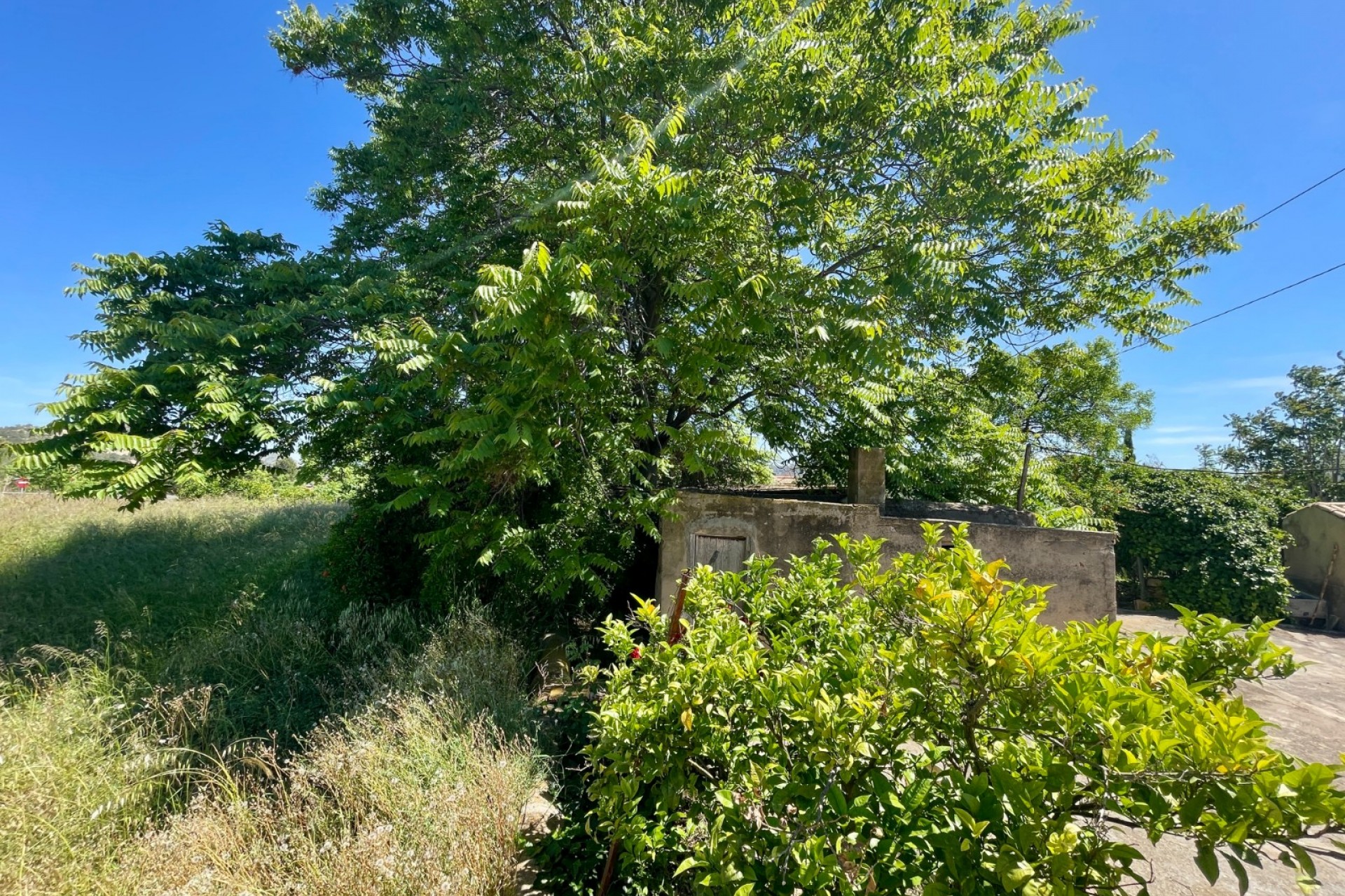 Resale - Villa -
La Romana - Inland