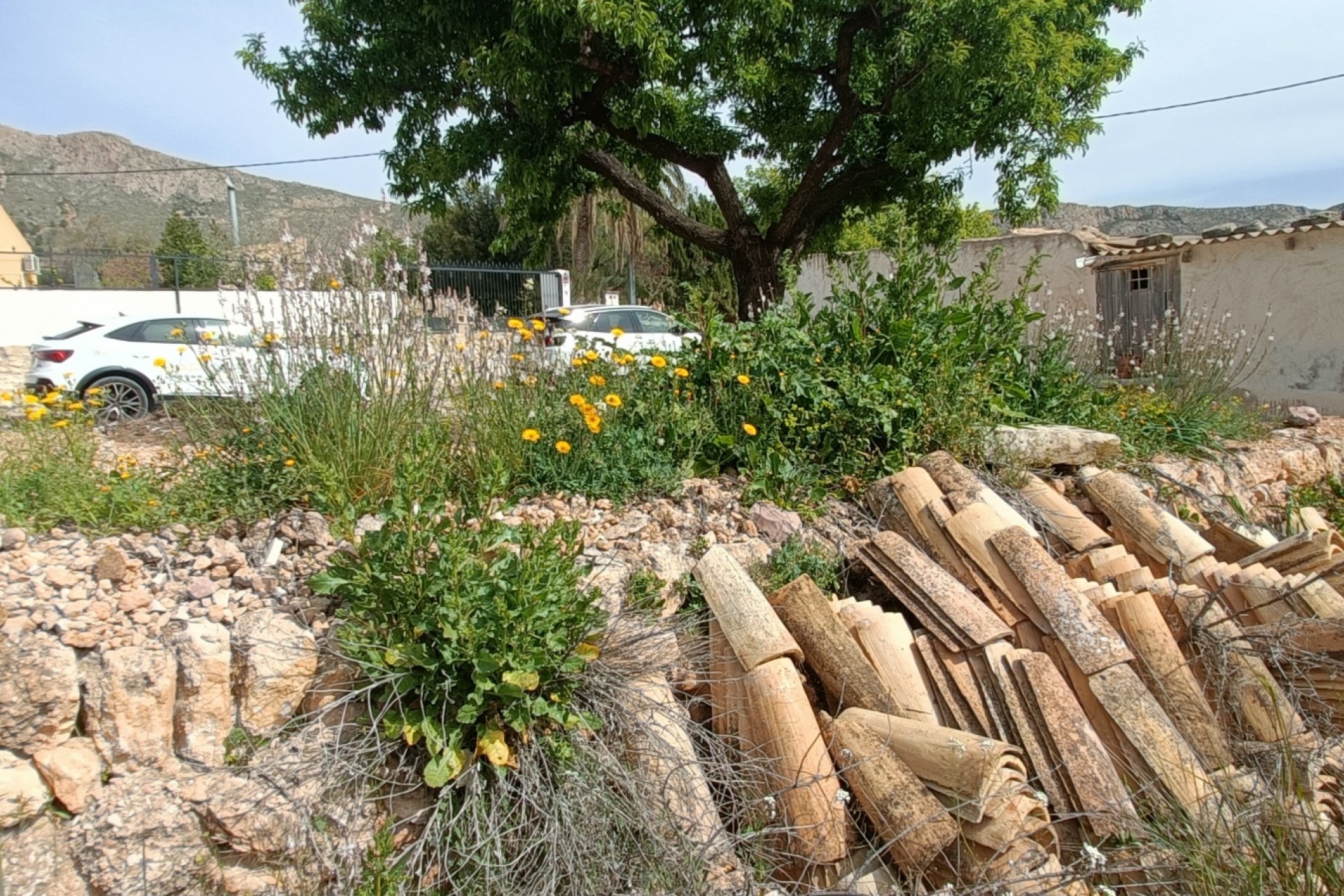 Resale - Villa -
La Romana - Inland