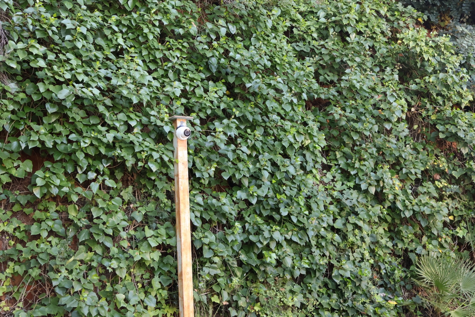 Resale - Villa -
La Sella Golf - Inland