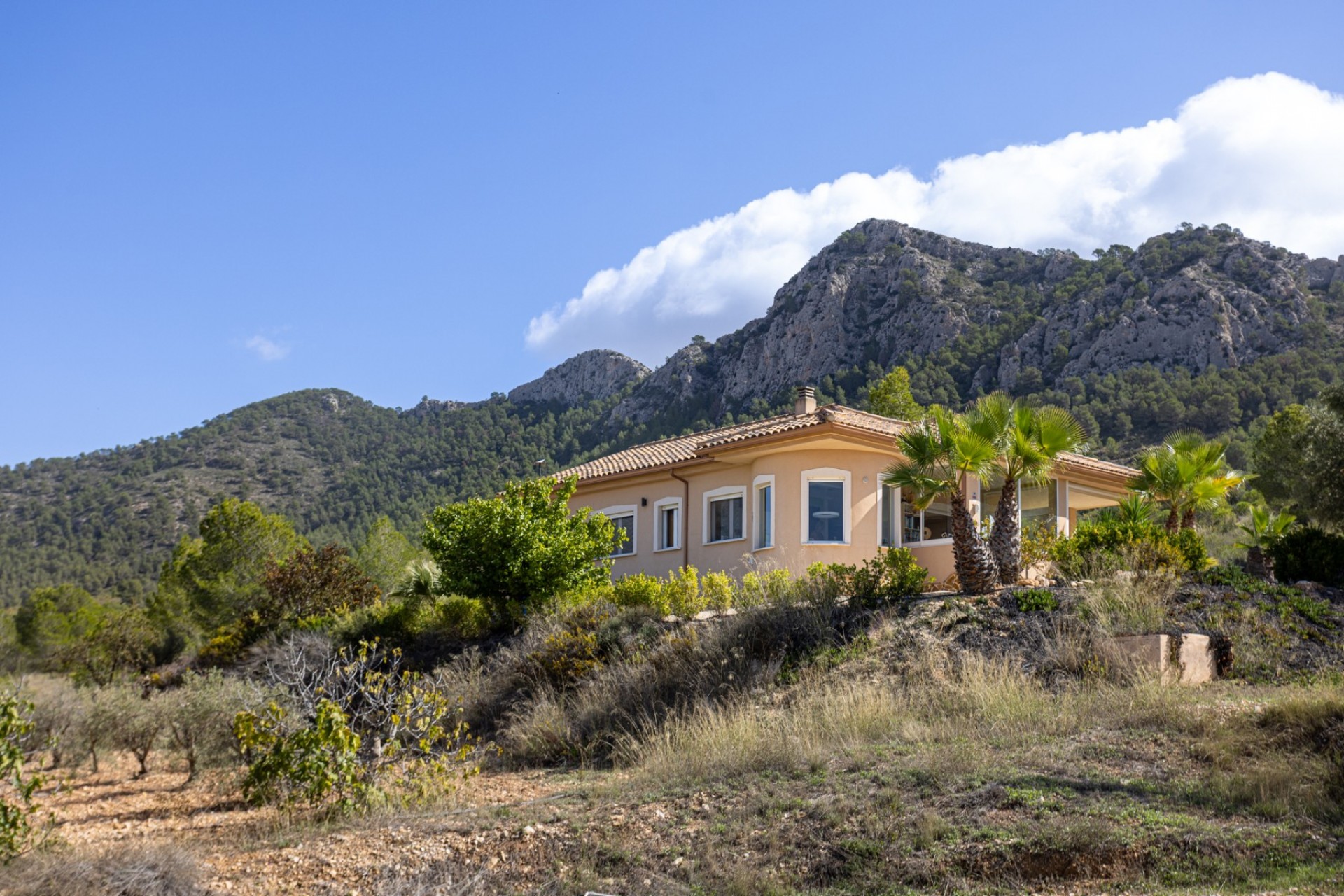 Resale - Villa -
La Zarza - Inland