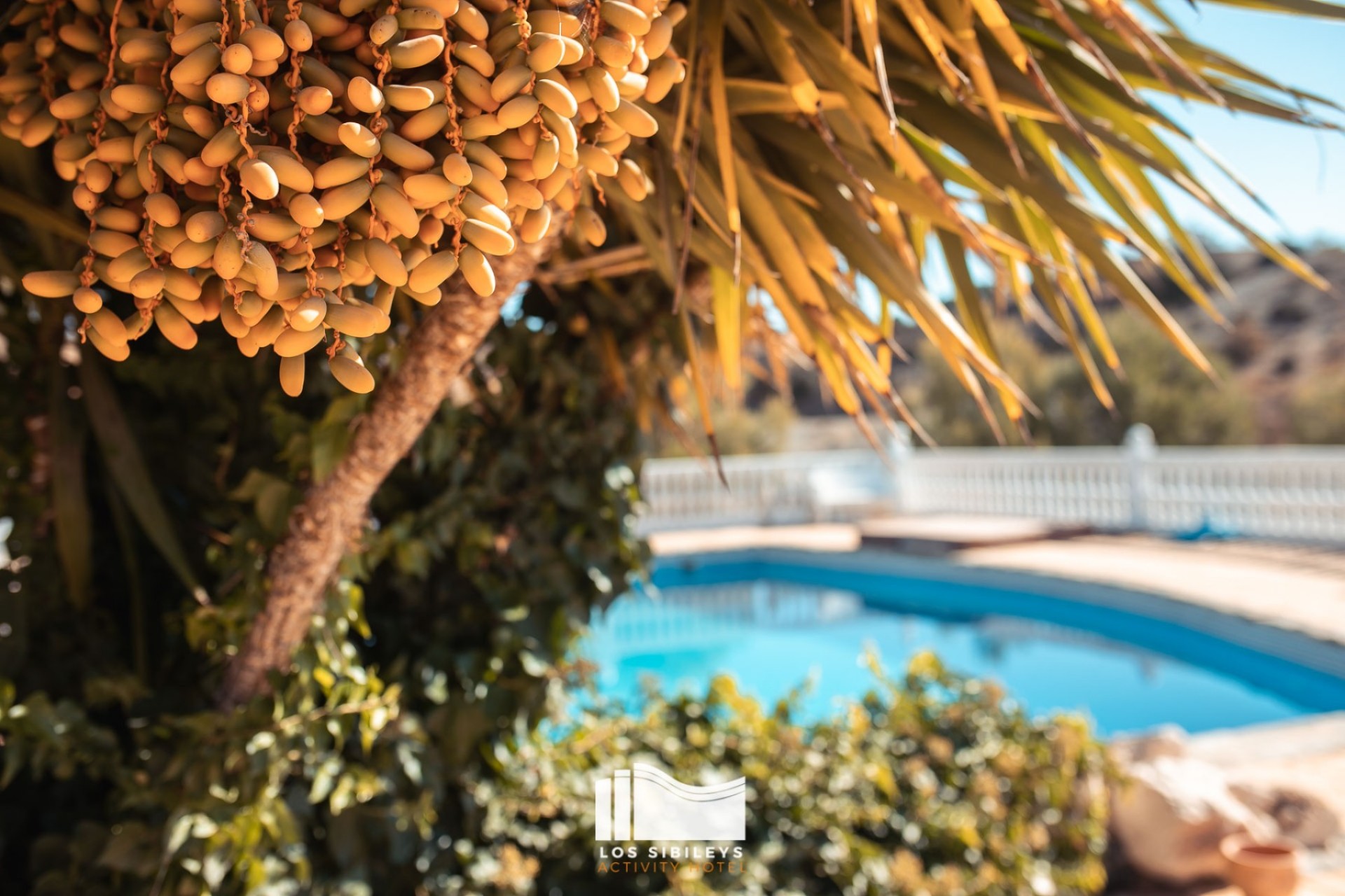 Resale - Villa -
Lorca - Costa Calida
