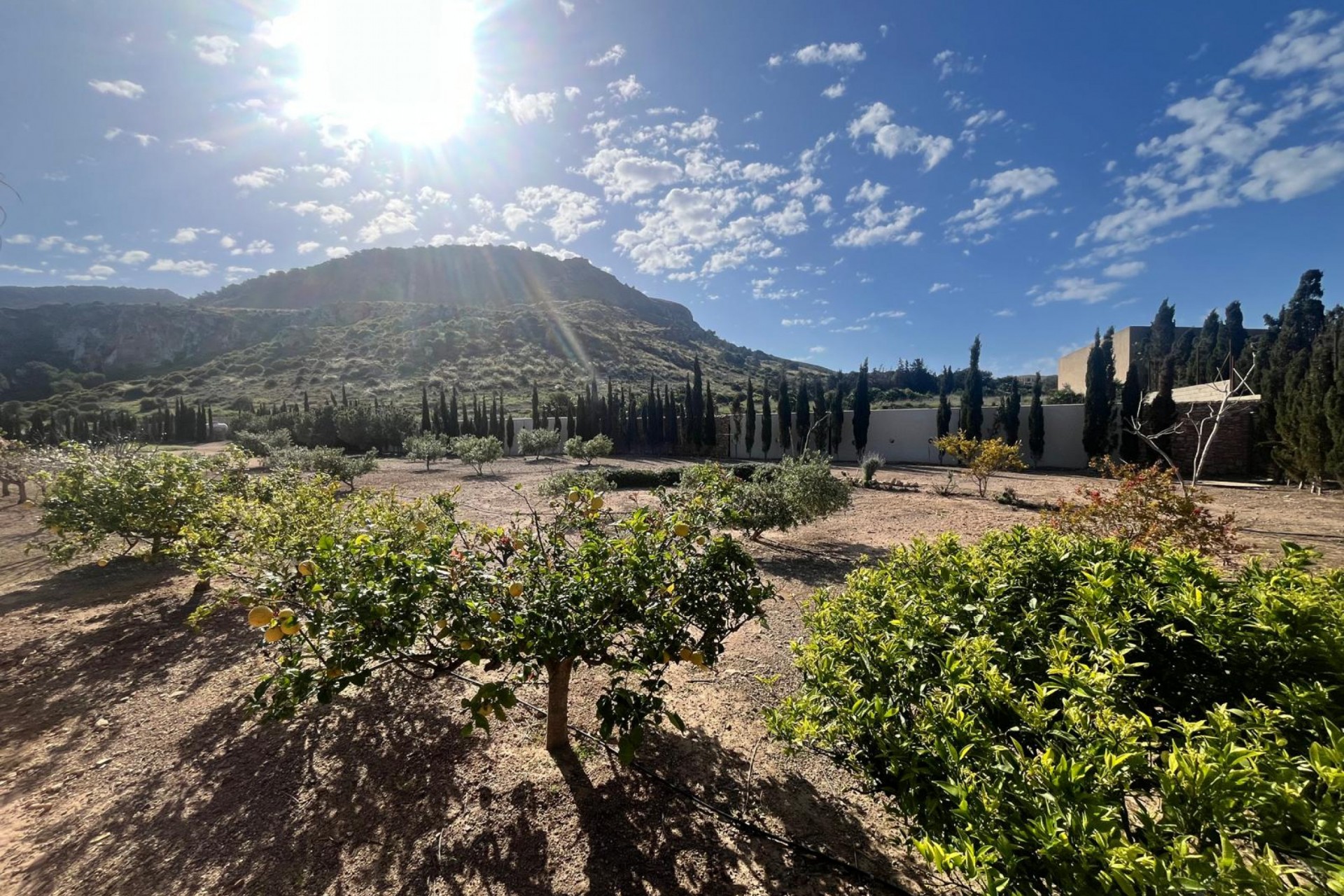 Resale - Villa -
Los Belones - Inland