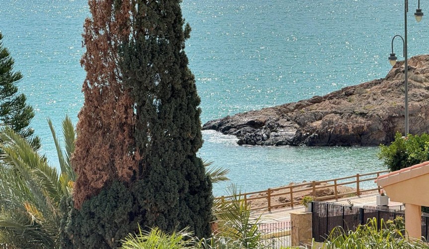 Resale - Villa -
Mazarron - Bolnuevo