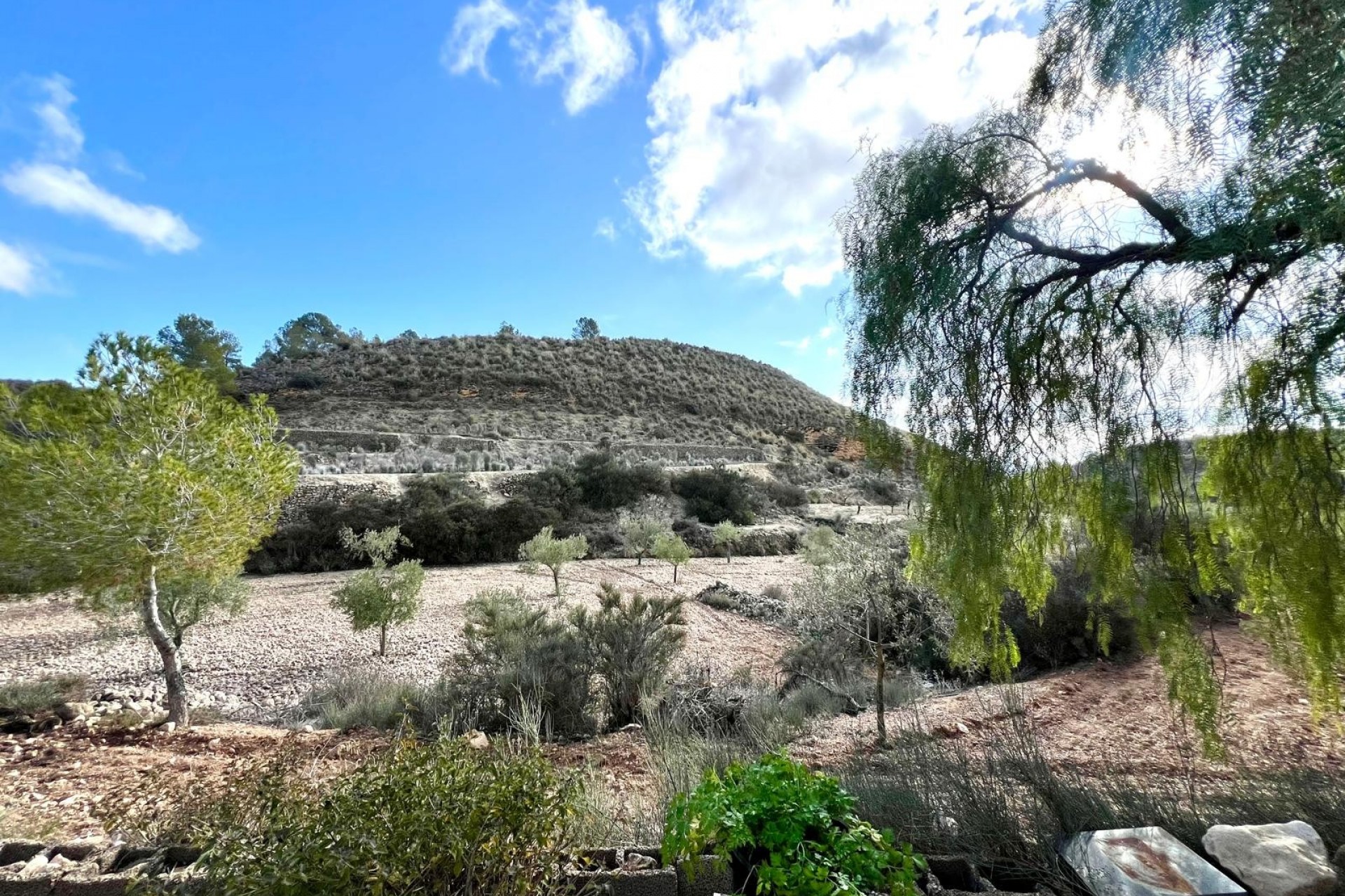 Resale - Villa -
Monóvar/Monóver - Inland