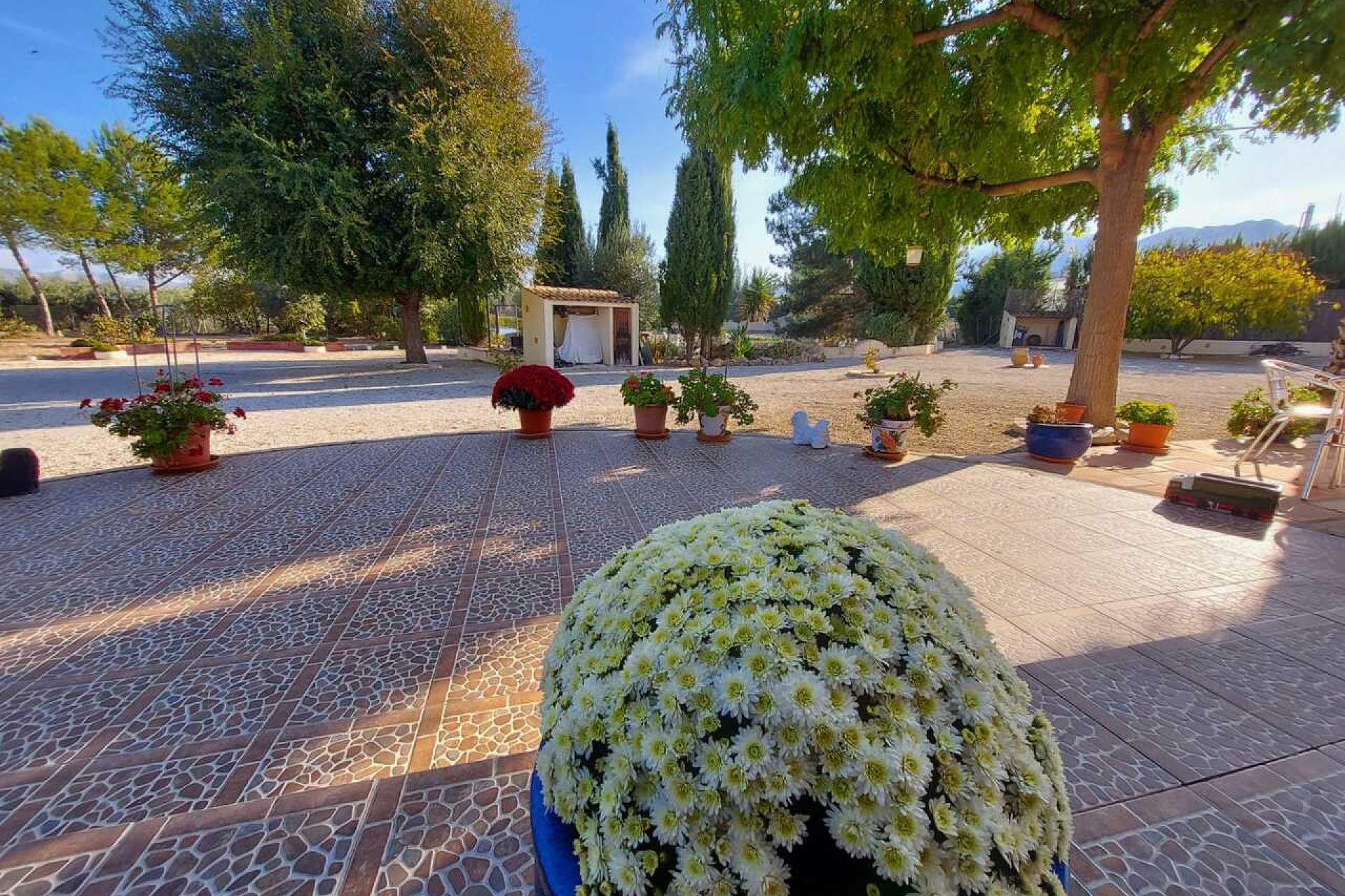 Resale - Villa -
Murcia - Inland