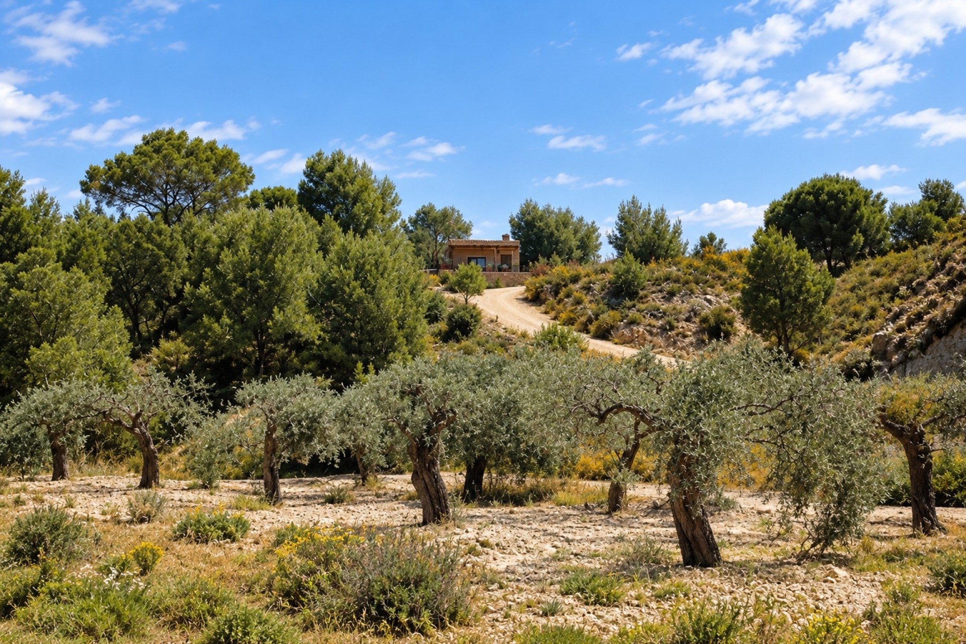 Resale - Villa -
Murcia - Inland