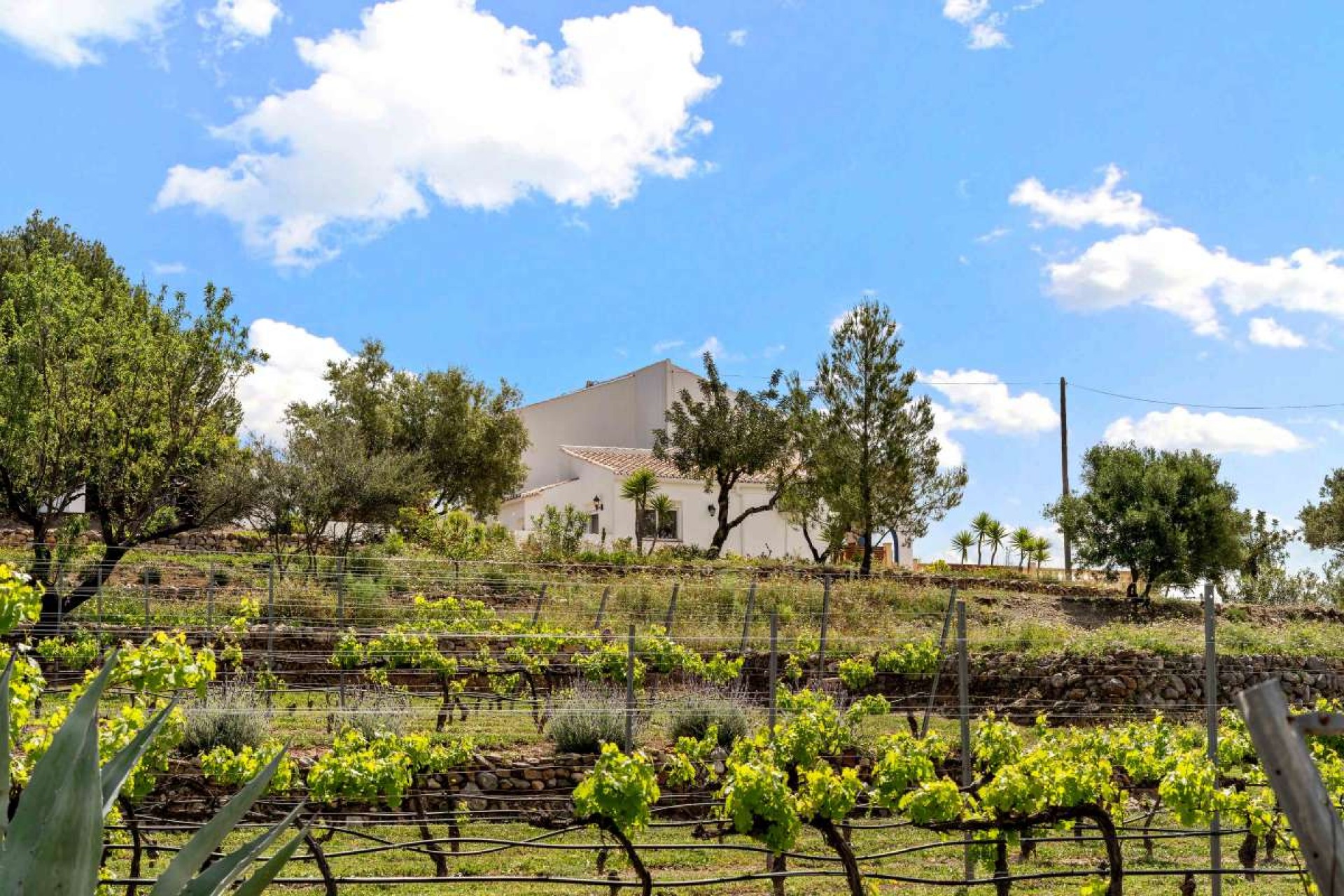 Resale - Villa -
Murla - Inland