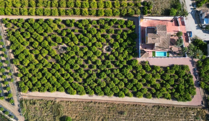 Resale - Villa -
Orihuela - Inland