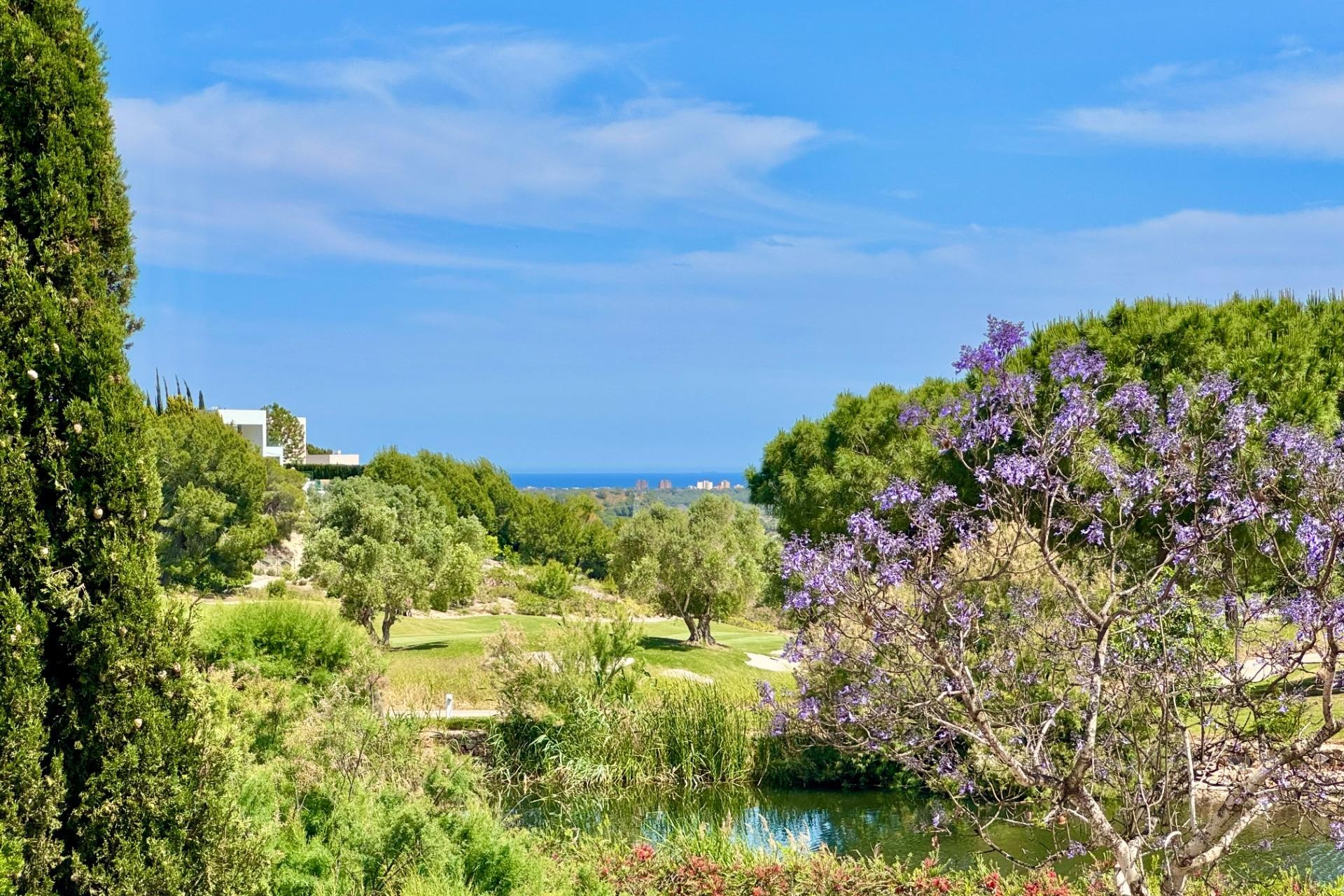 Resale - Villa -
Orihuela - Las Colinas Golf