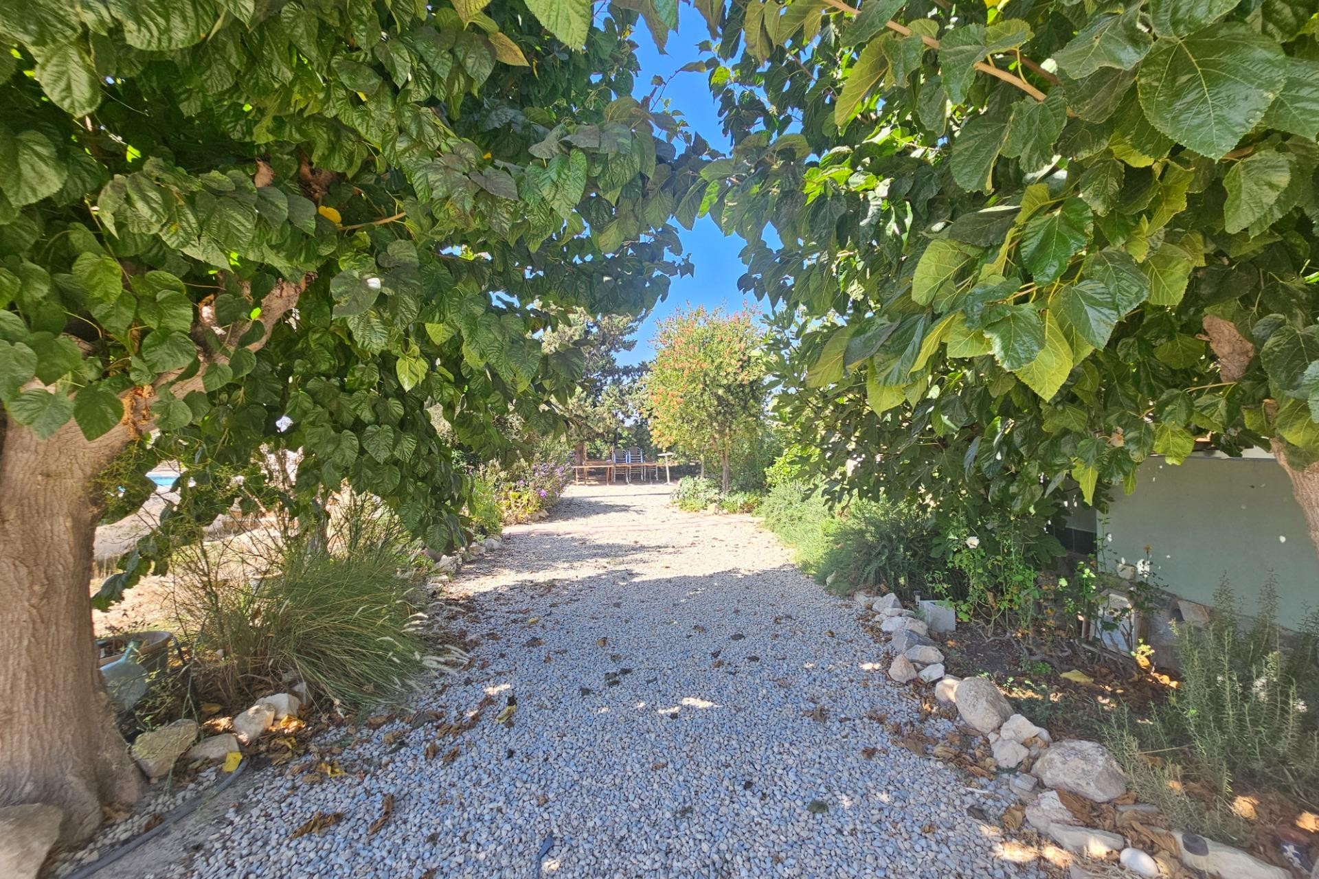 Resale - Villa -
Orihuela - Molins-campaneta-san Bartolomé