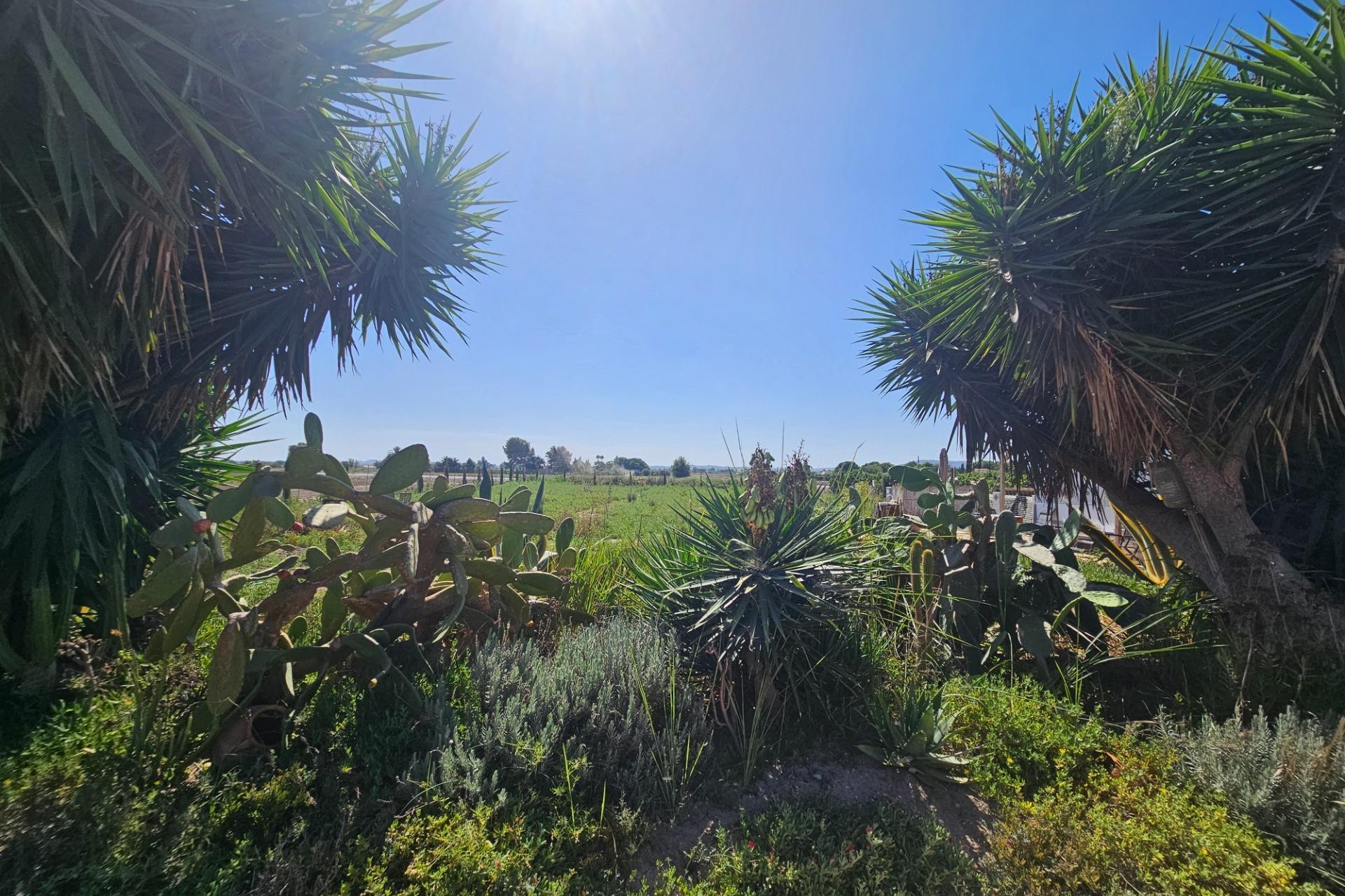 Resale - Villa -
Orihuela - Molins-campaneta-san Bartolomé