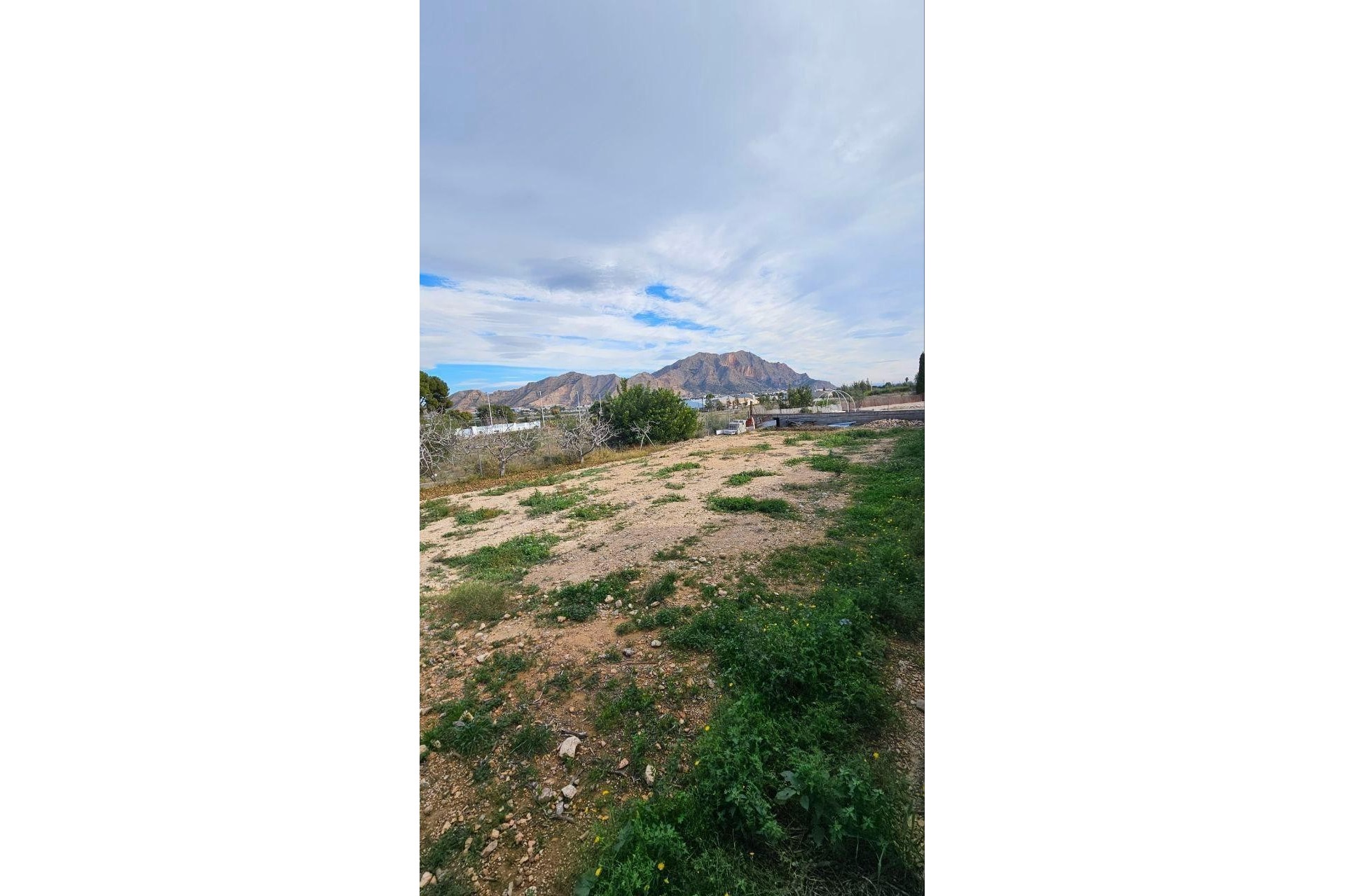 Resale - Villa -
Orihuela - Urb. Montepinar