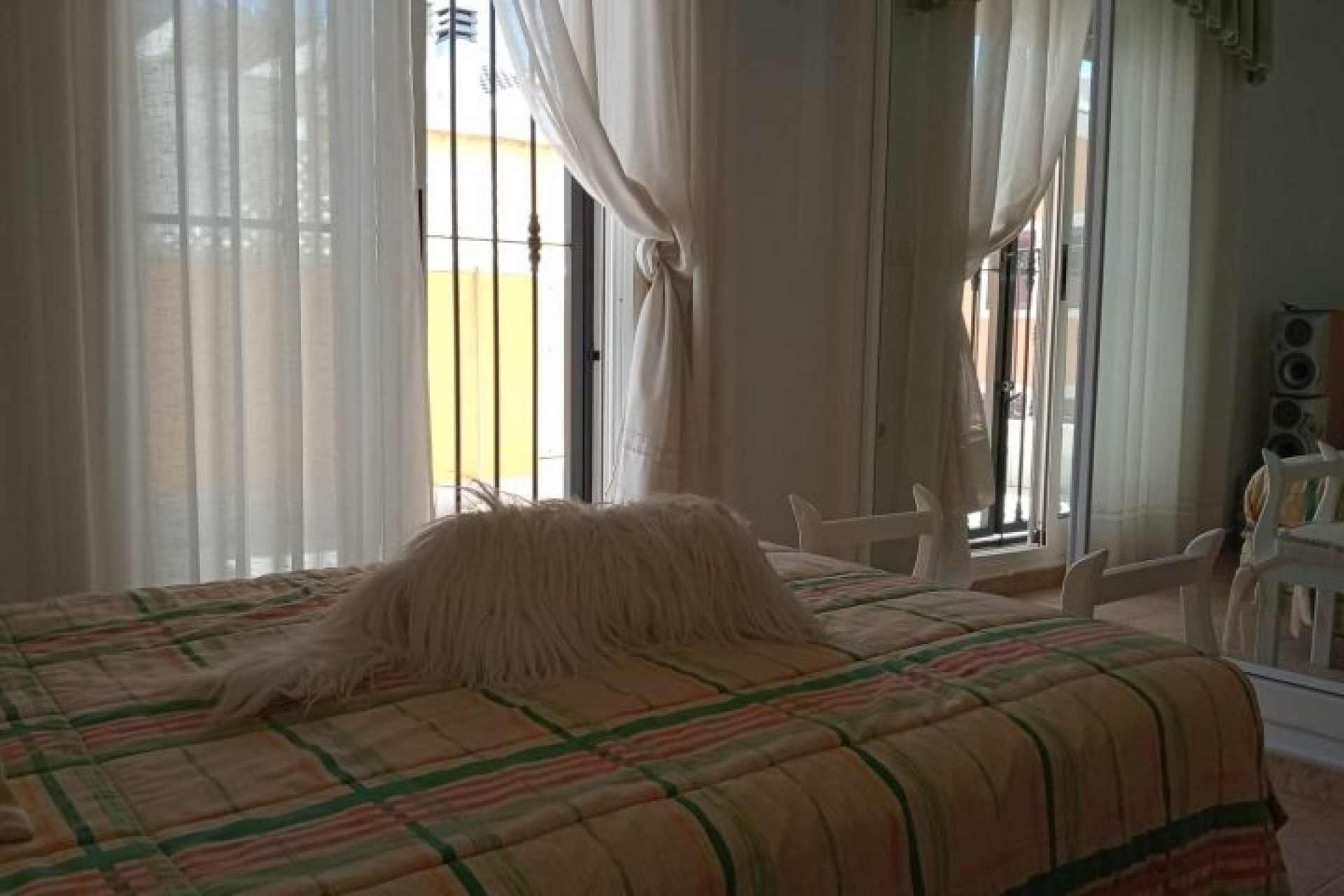 Resale - Villa -
Pilar de la Horadada - Costa Blanca