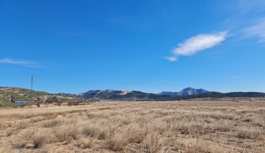 Resale - Villa -
Pinoso - Inland