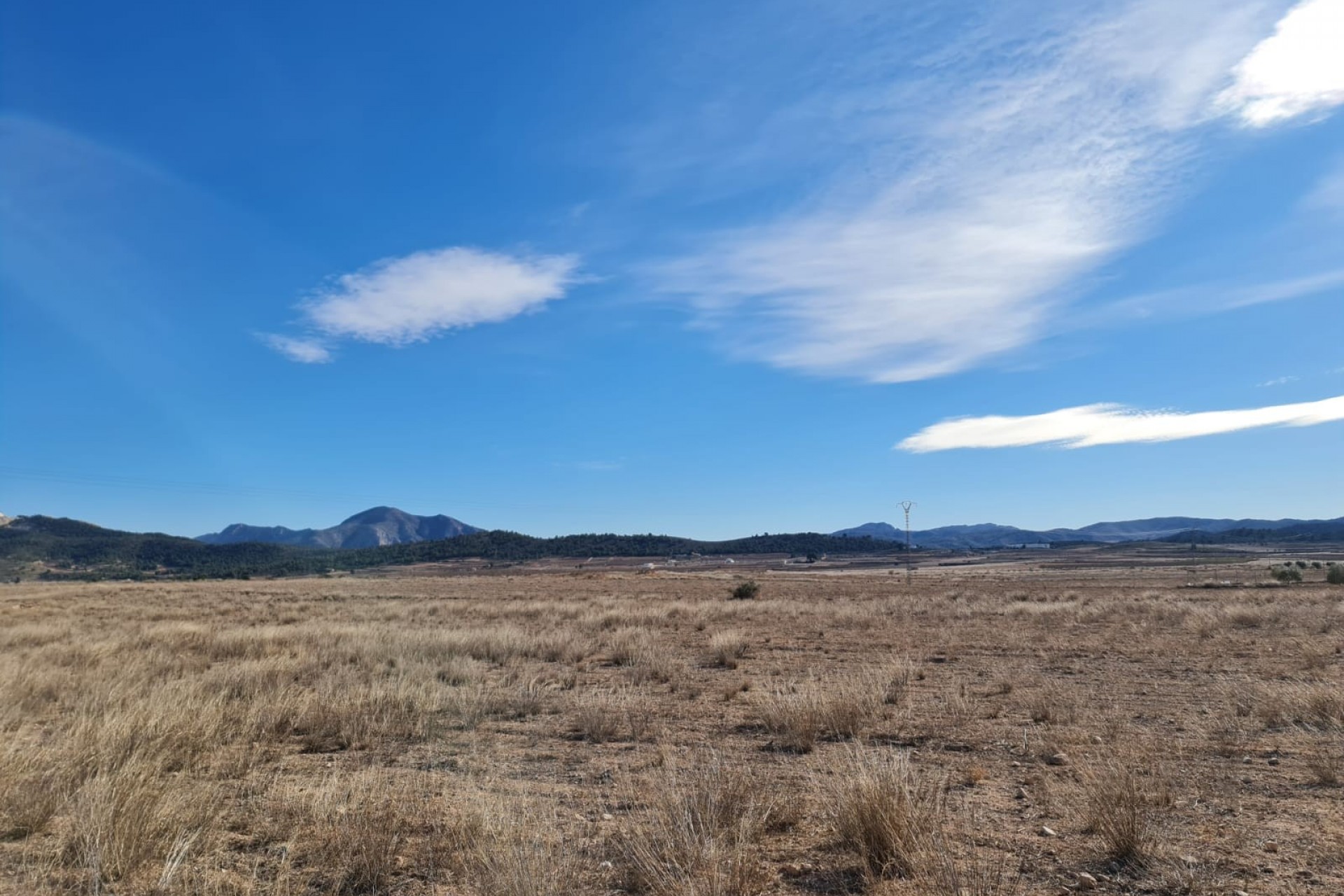 Resale - Villa -
Pinoso - Inland