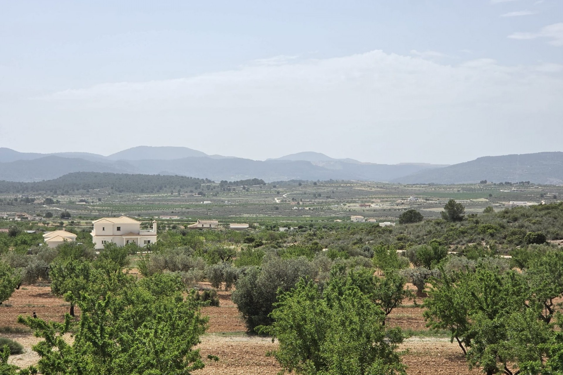 Resale - Villa -
Pinoso - Inland