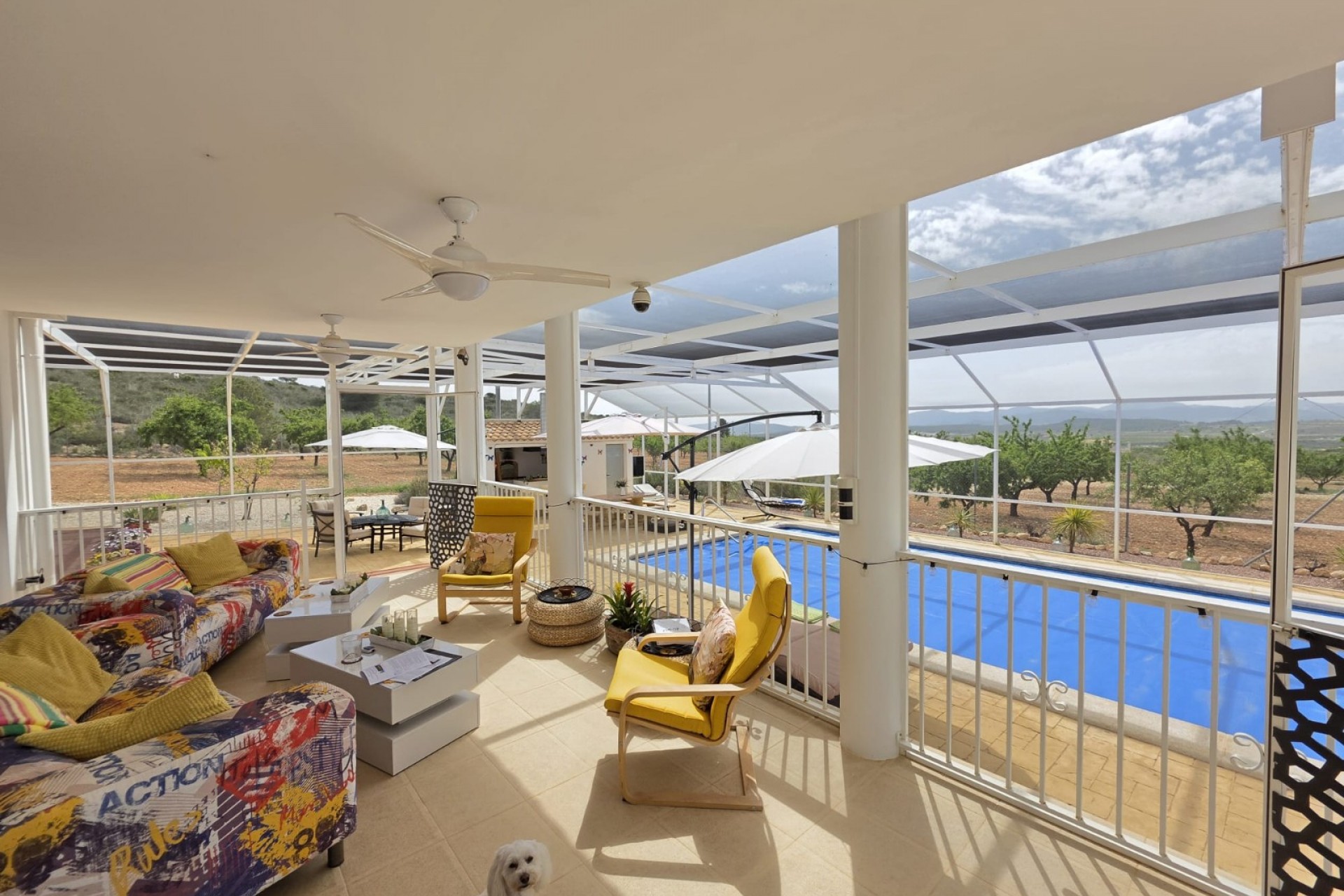 Resale - Villa -
Pinoso - Inland
