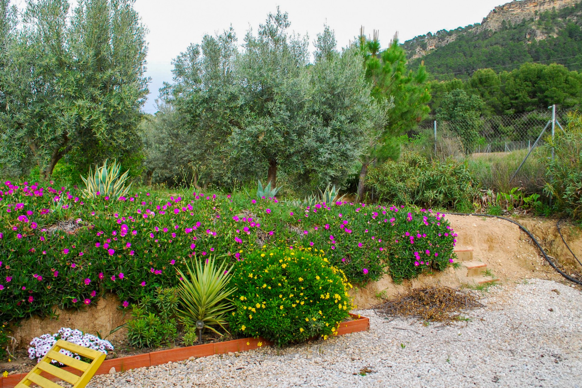 Resale - Villa -
Pliego - Inland