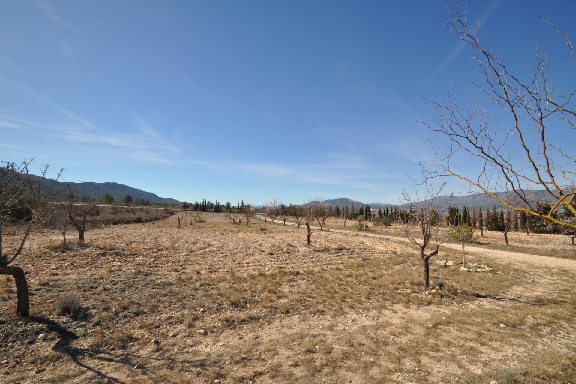 Resale - Villa -
Salinas - Inland