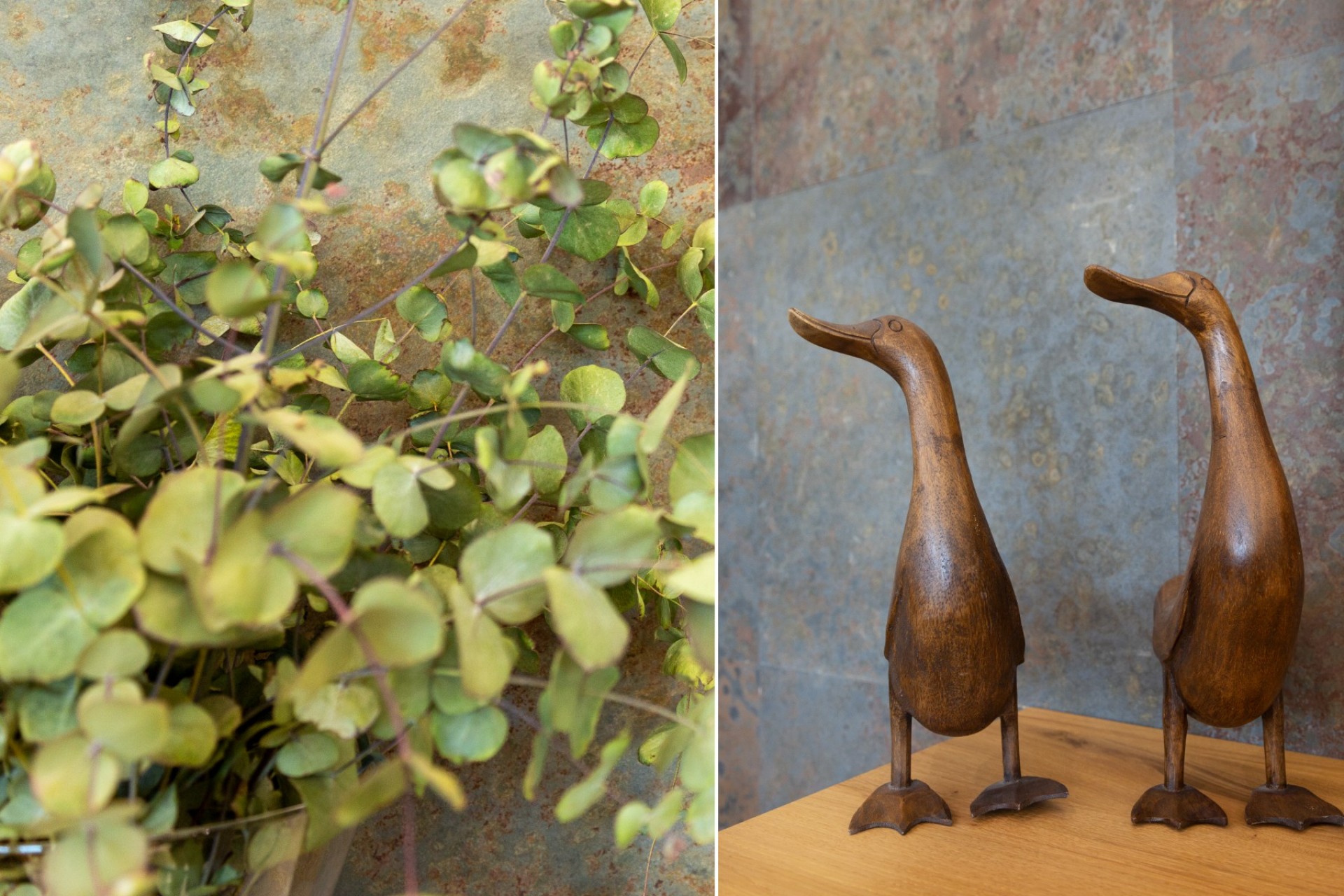 Resale - Villa -
San Vicente del Raspeig - Inland