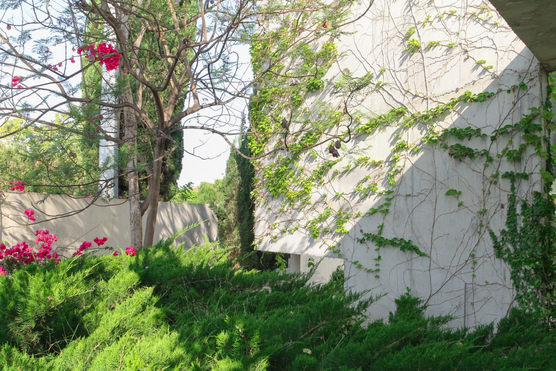 Resale - Villa -
San Vicente del Raspeig - Inland