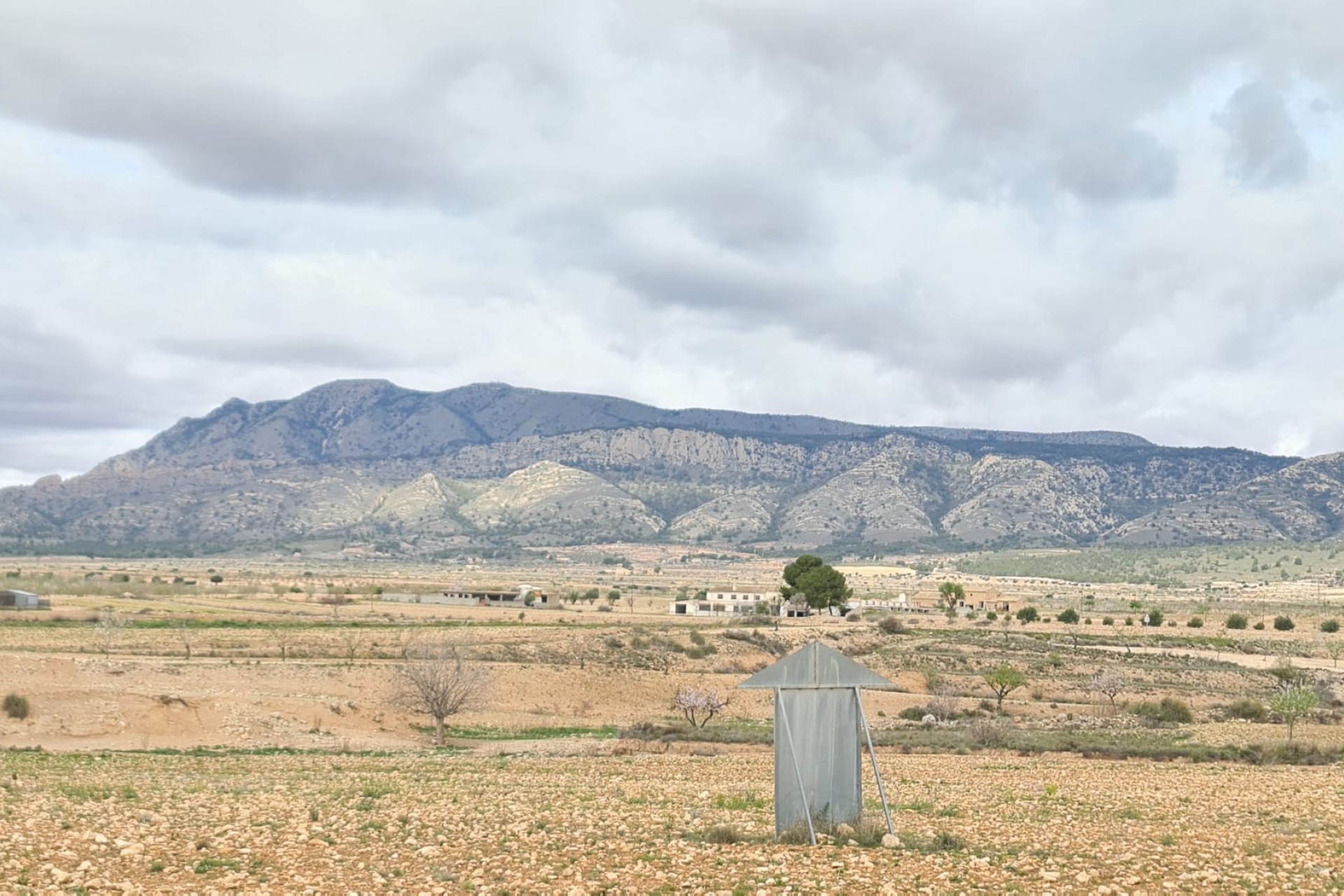 Resale - Villa -
Torre Del Rico - Inland