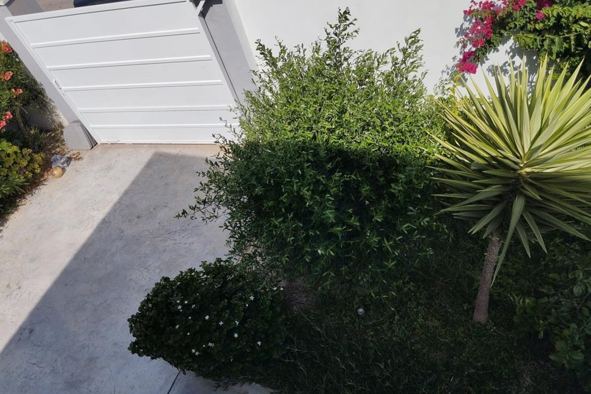 Resale - Villa -
Torrevieja - Torreta Florida