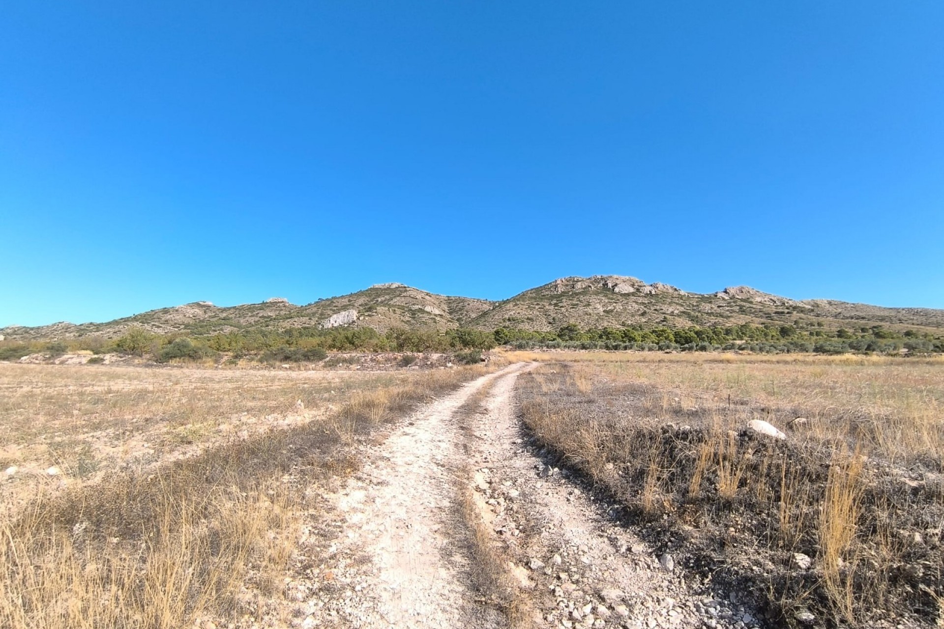 Resale - Villa -
Yecla - Inland