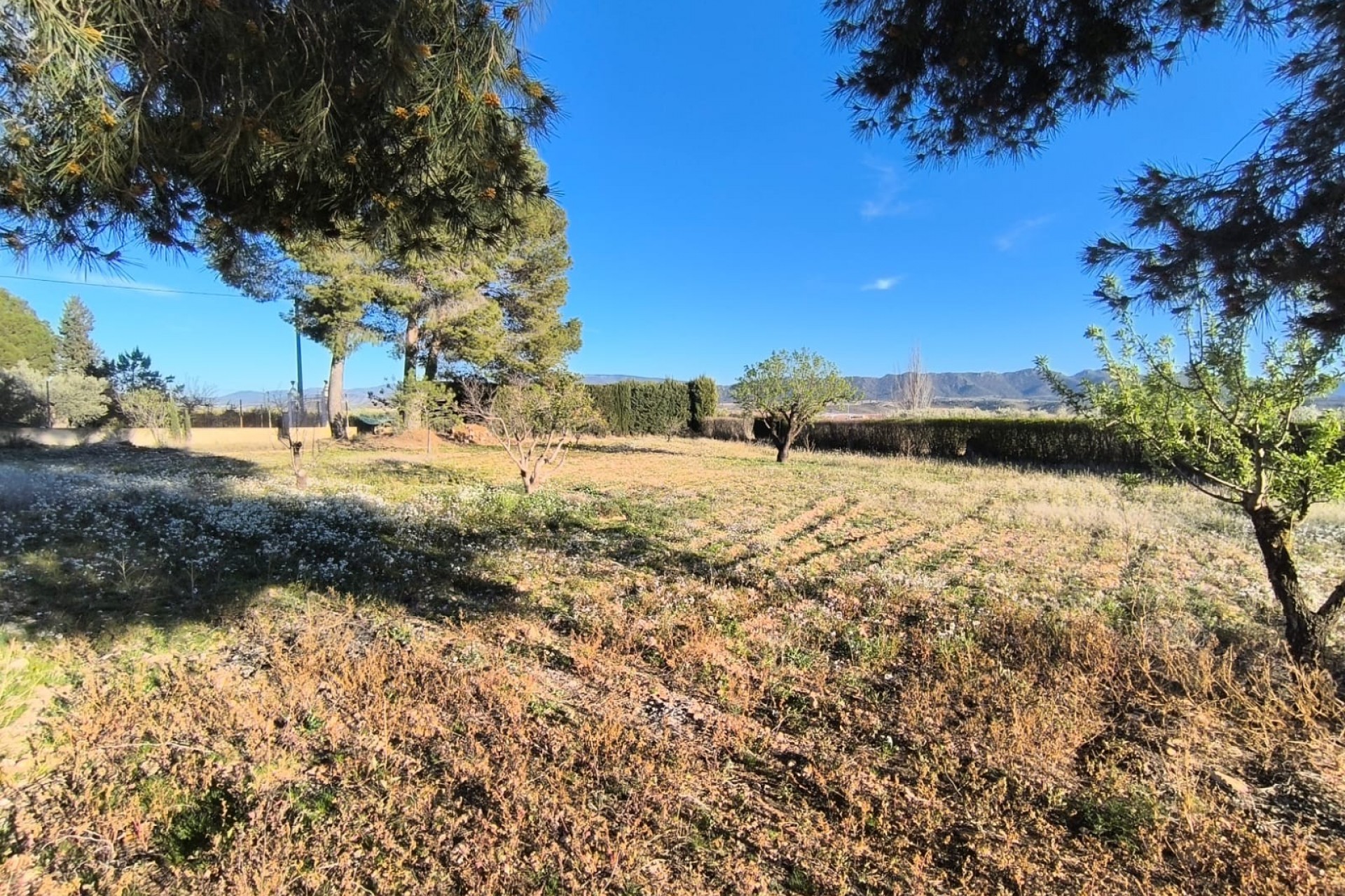 Resale - Villa -
Yecla - Inland