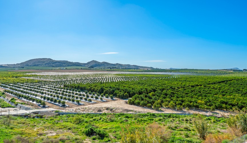 Reventa - Apartment -
Algorfa - Inland