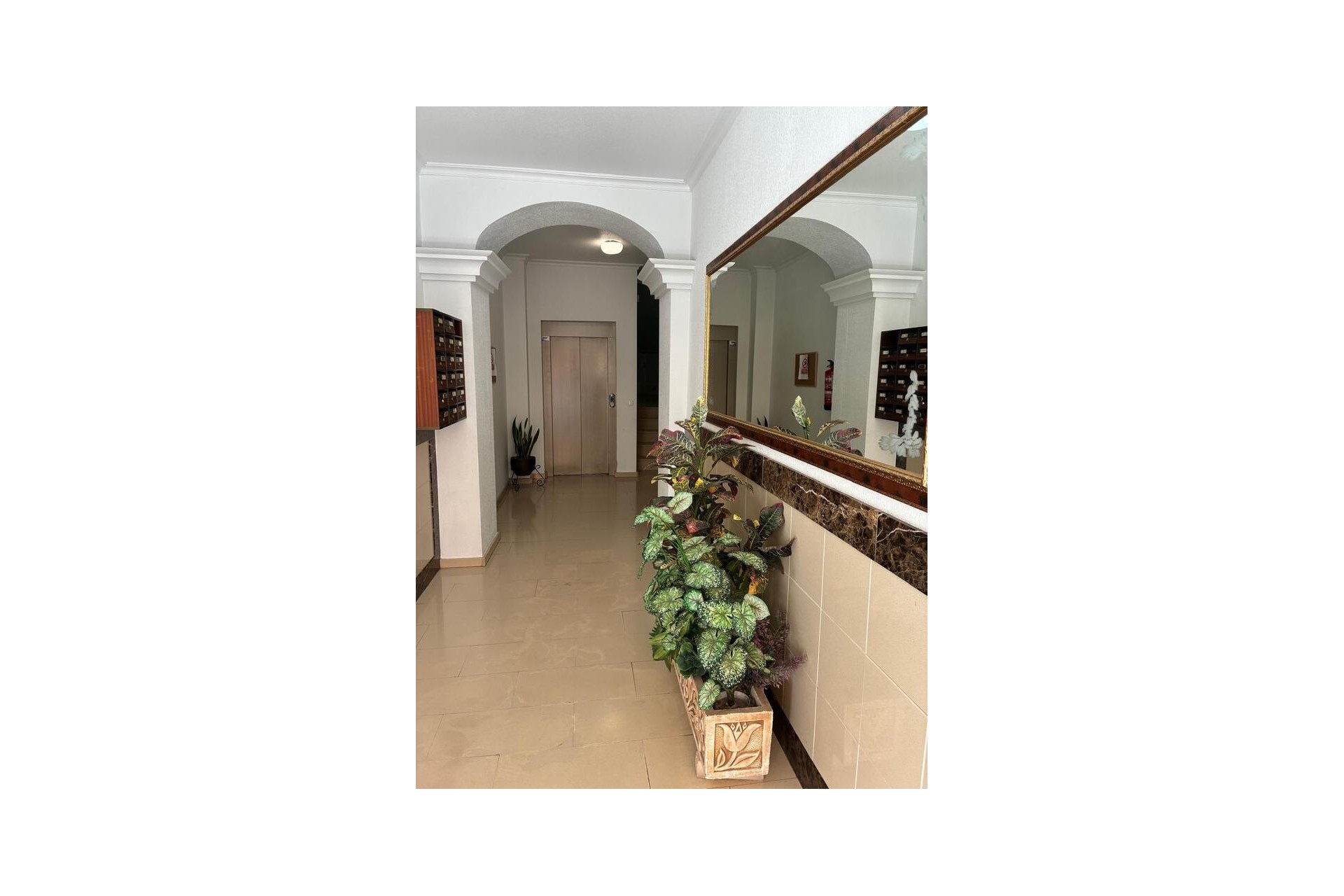 Reventa - Apartment -
Almoradí - Costa Blanca